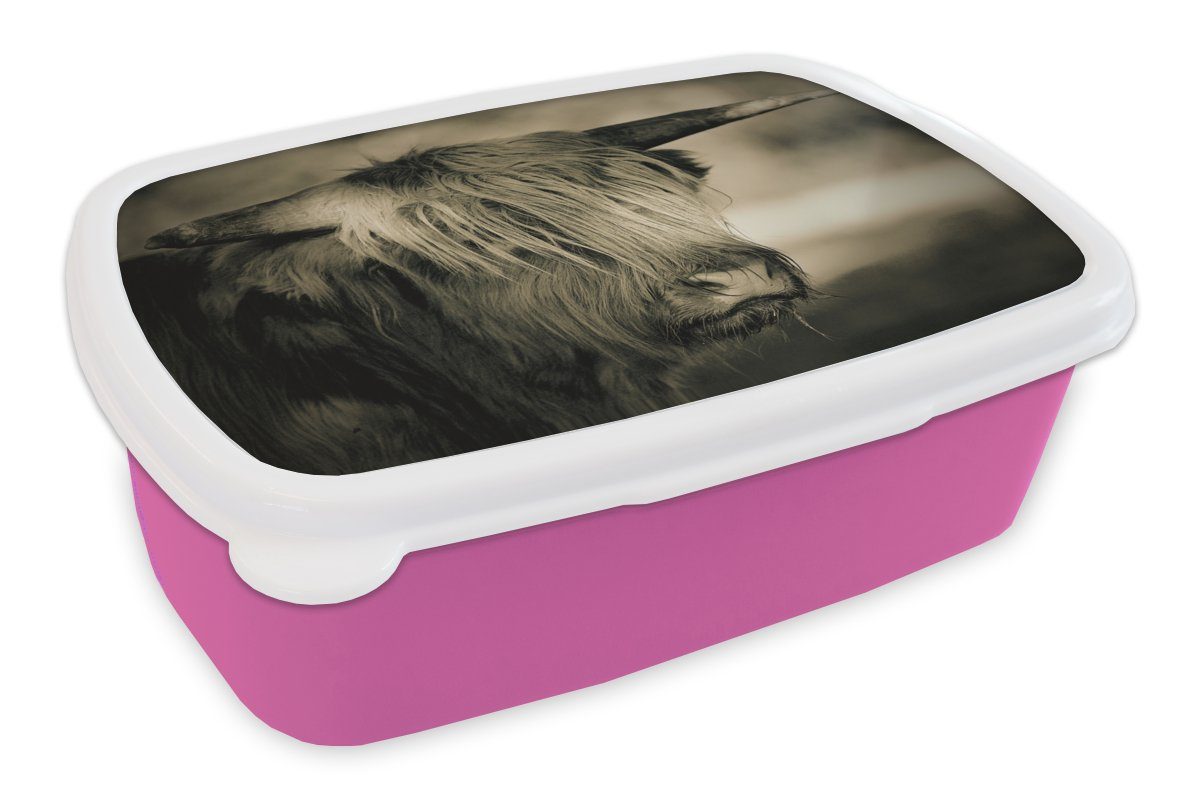 MuchoWow Lunchbox Schottischer Highlander - Tiere - Haare, Kunststoff, (2-tlg), Brotbox für Erwachsene, Brotdose Kinder, Snackbox, Mädchen, Kunststoff rosa