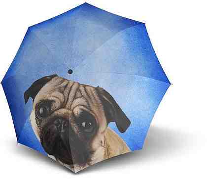 doppler® Taschenregenschirm »Lazy Dog«