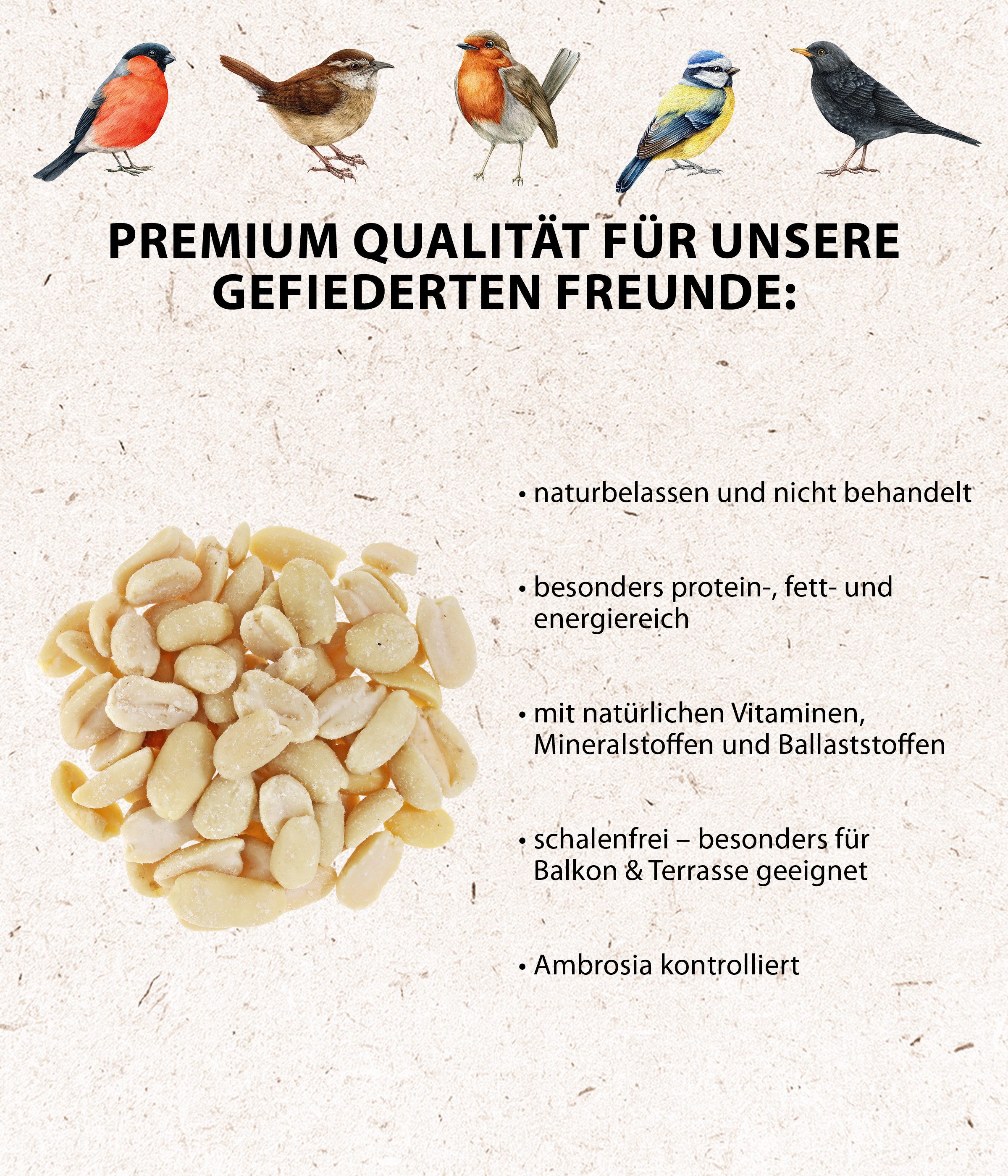 Dehner Natura Erdnusskerne halbe / ganze, Wildvogelfutter schalenfrei, 5 l Erdnuss, Kraftfutter für: Gartenvögel, Wildvogel, im Eimer, für Meisen, Rotkehlchen, Spatz, Buchfink