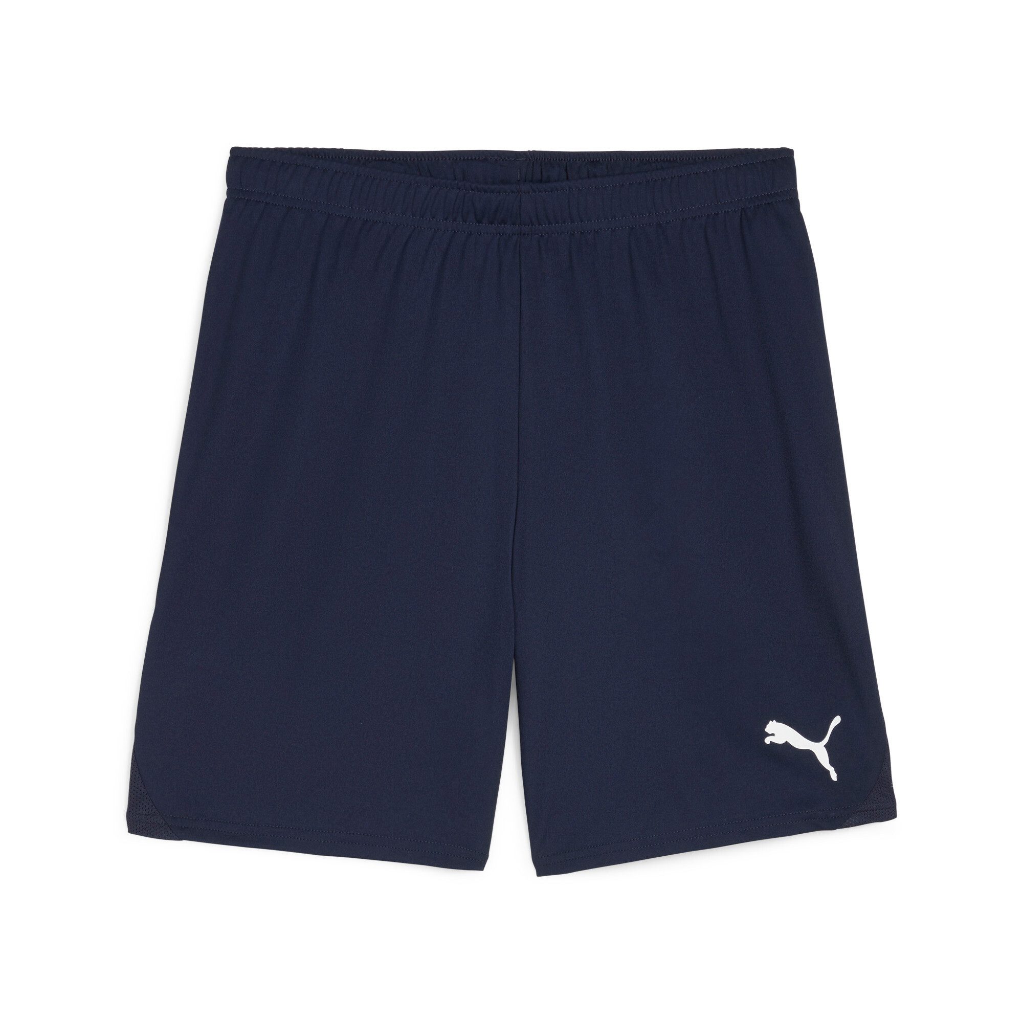 Trainingsshorts TEAMGOAL SHORTS