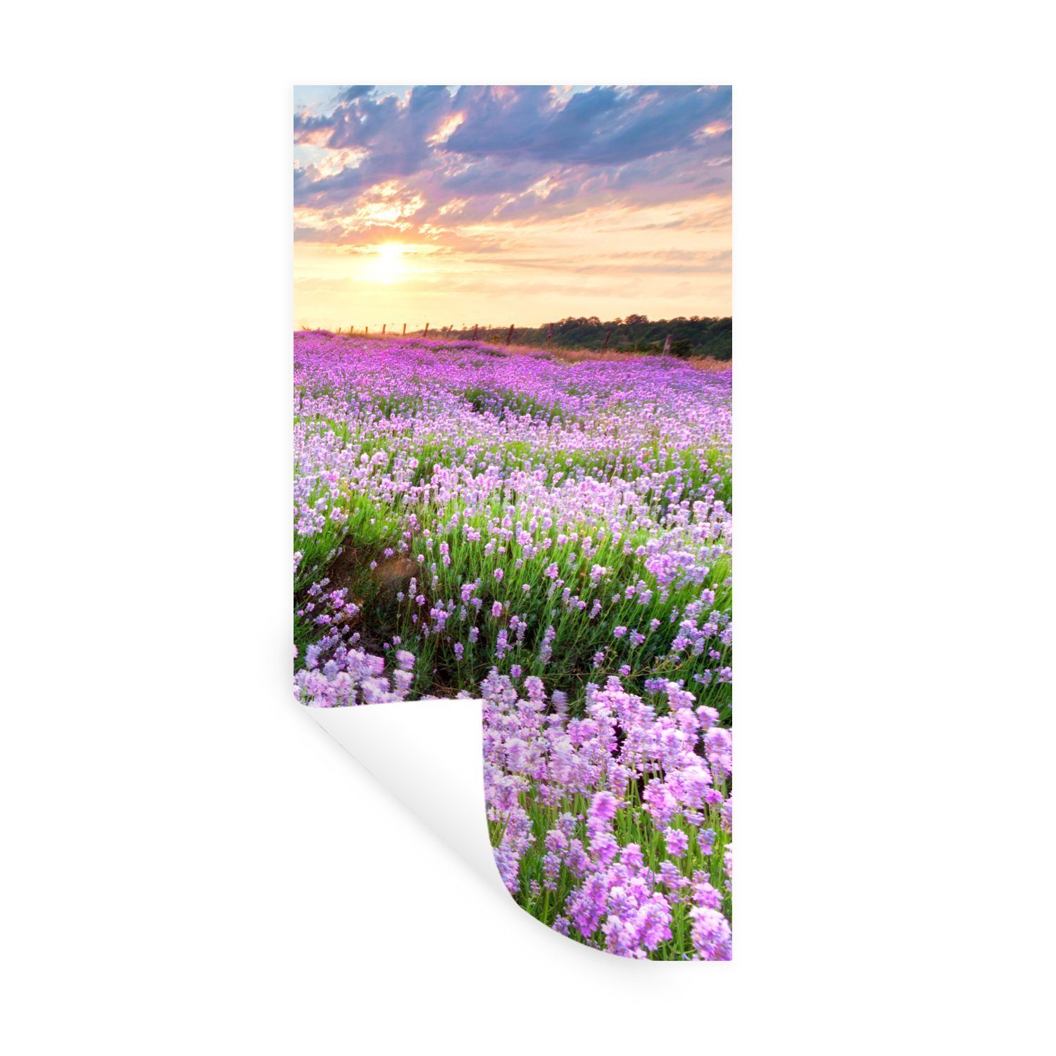 MuchoWow Wandsticker Lavendel - Blumen - Sonnenuntergang - Lila - Wiese (1 St), Wanddeko, Aufkleber für die Schlafzimmer, Wohnzimmer, Wandtattoo