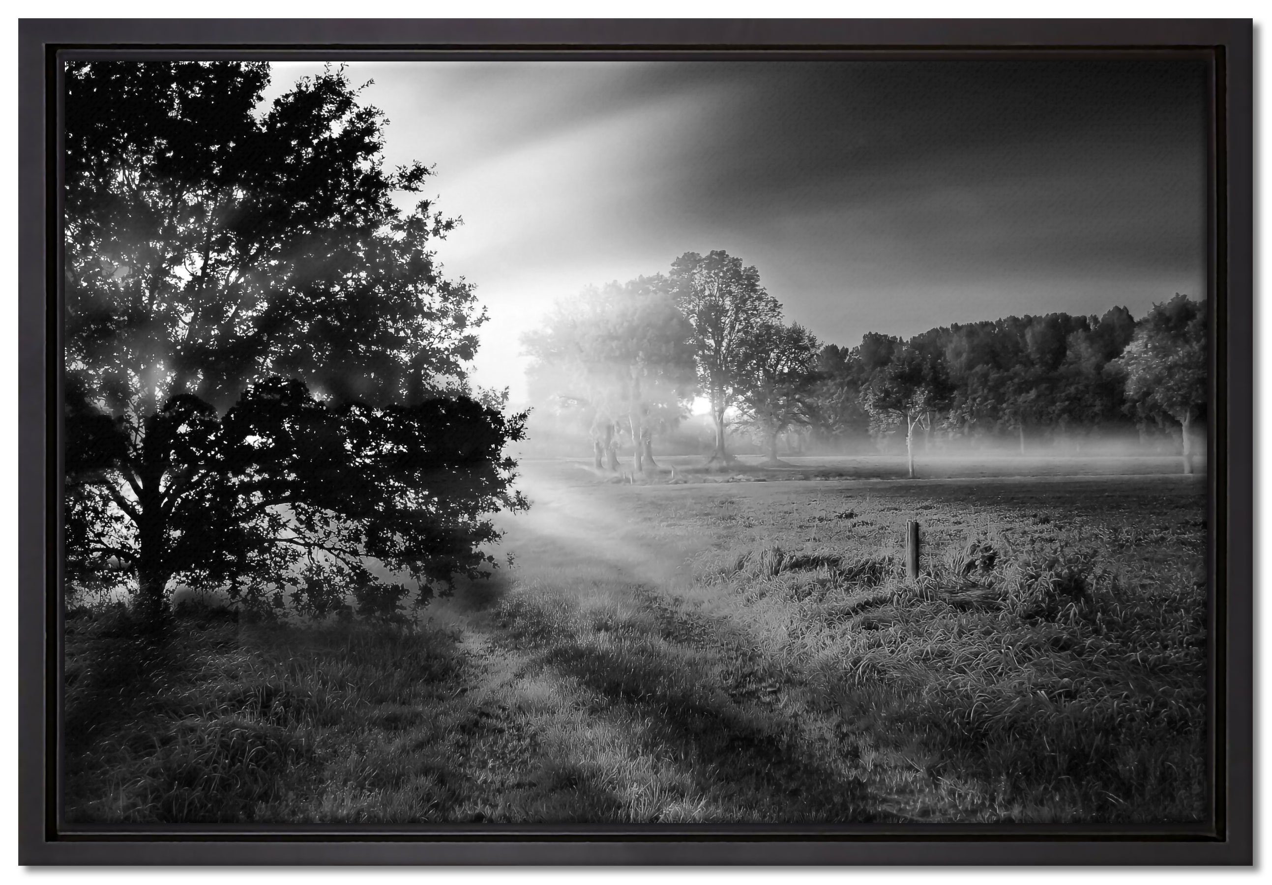 Pixxprint Leinwandbild schöne Lichtung im Wald, Wanddekoration (1 St), Leinwandbild fertig bespannt, in einem Schattenfugen-Bilderrahmen gefasst, inkl. Zackenaufhänger