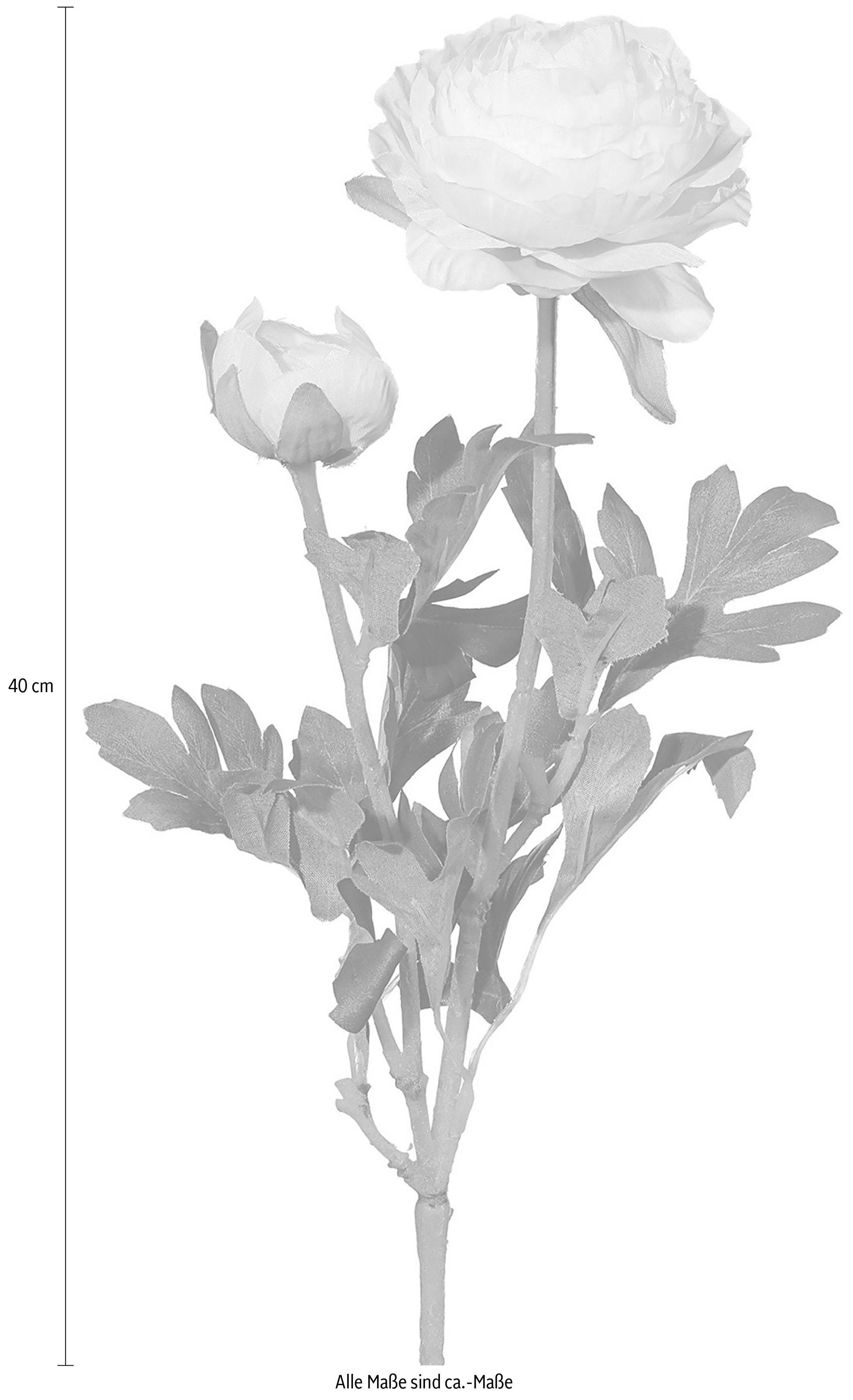 Kunstblume Ranunkel, Creativ green, Höhe 40 cm, für schöne Arrangements wie Sträuße und Gestecke