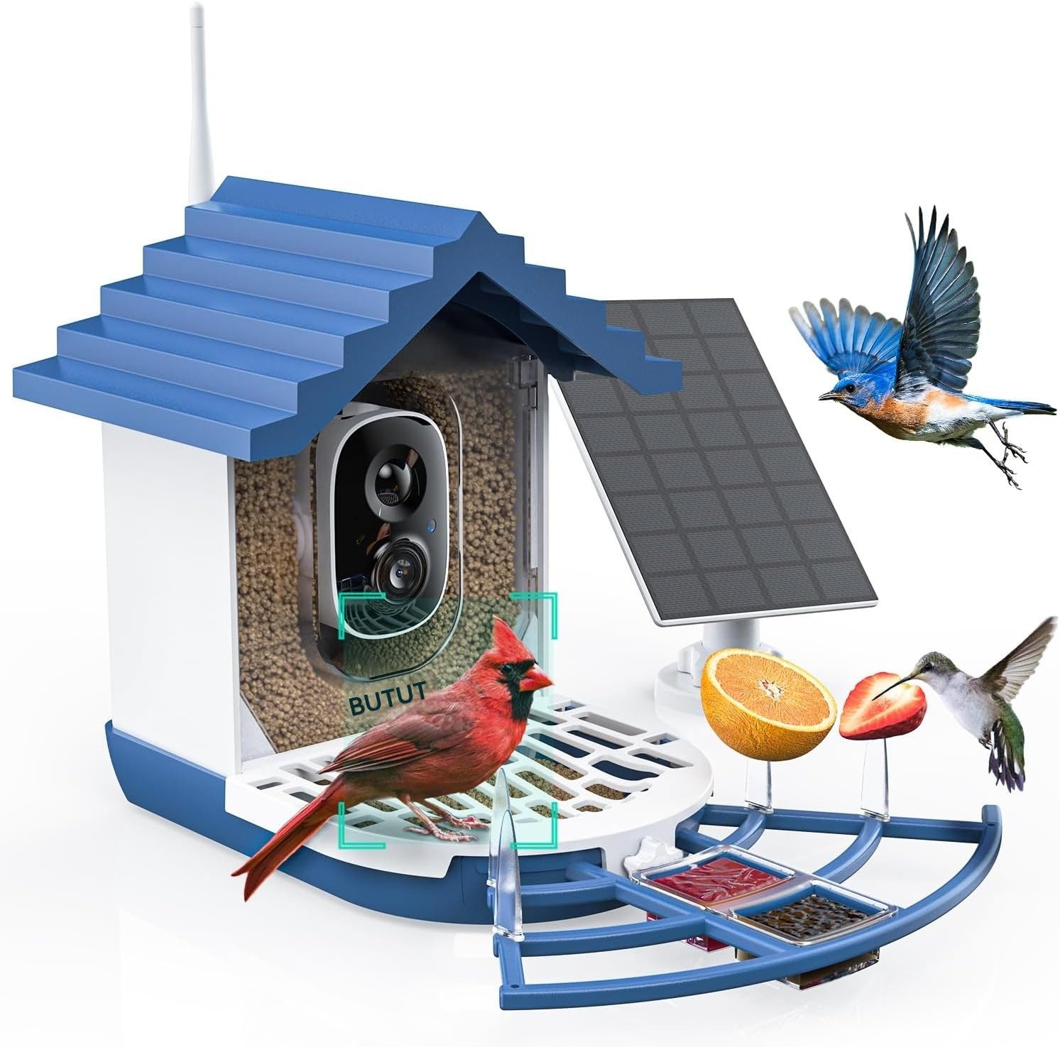 TWUFY Vogelhaus Vogelfutterhaus mit Kamera 2K HD Vollfarbe Nachtsicht, KI Vogelerkennung Sofortiger Benachrichtigung