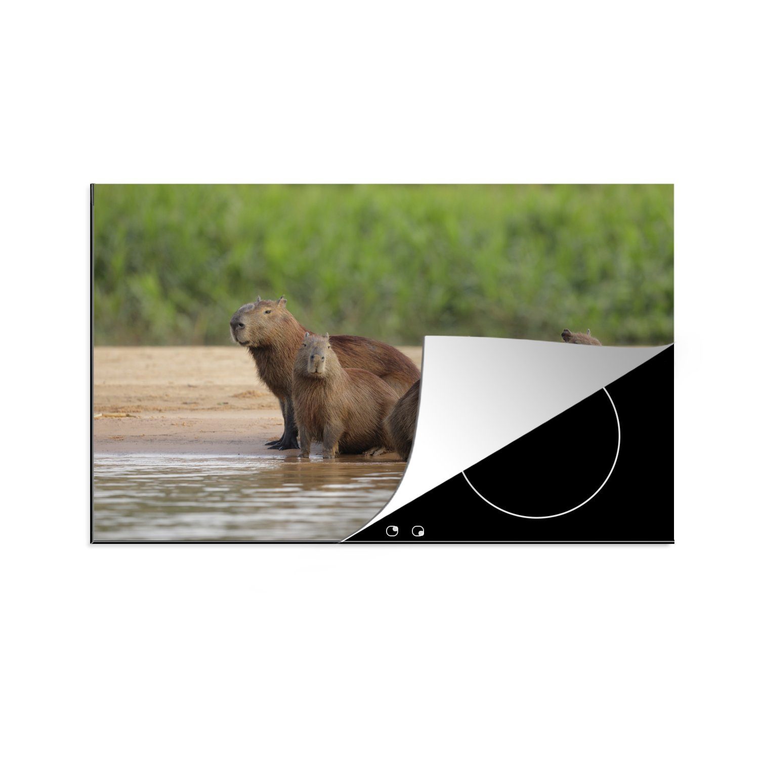 MuchoWow Herdblende-/Abdeckplatte Familie Capibara am Wasser, Vinyl, (1 tlg), 81x52 cm, Induktionskochfeld Schutz für die küche, Ceranfeldabdeckung