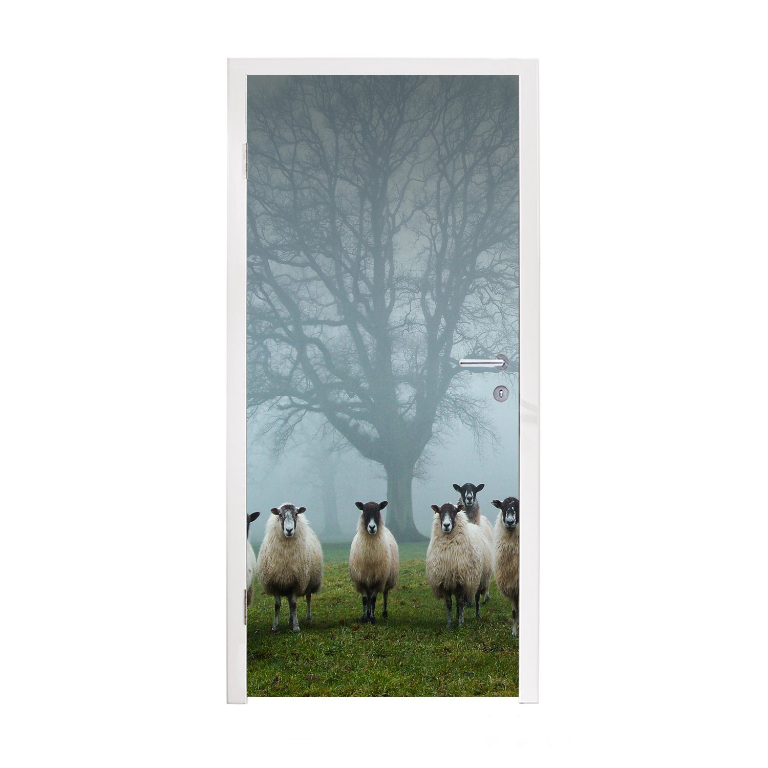 MuchoWow Türtapete Schaf - Baum - Nebel, Matt, bedruckt, (1 St), Fototapete für Tür, Türaufkleber, 75x205 cm