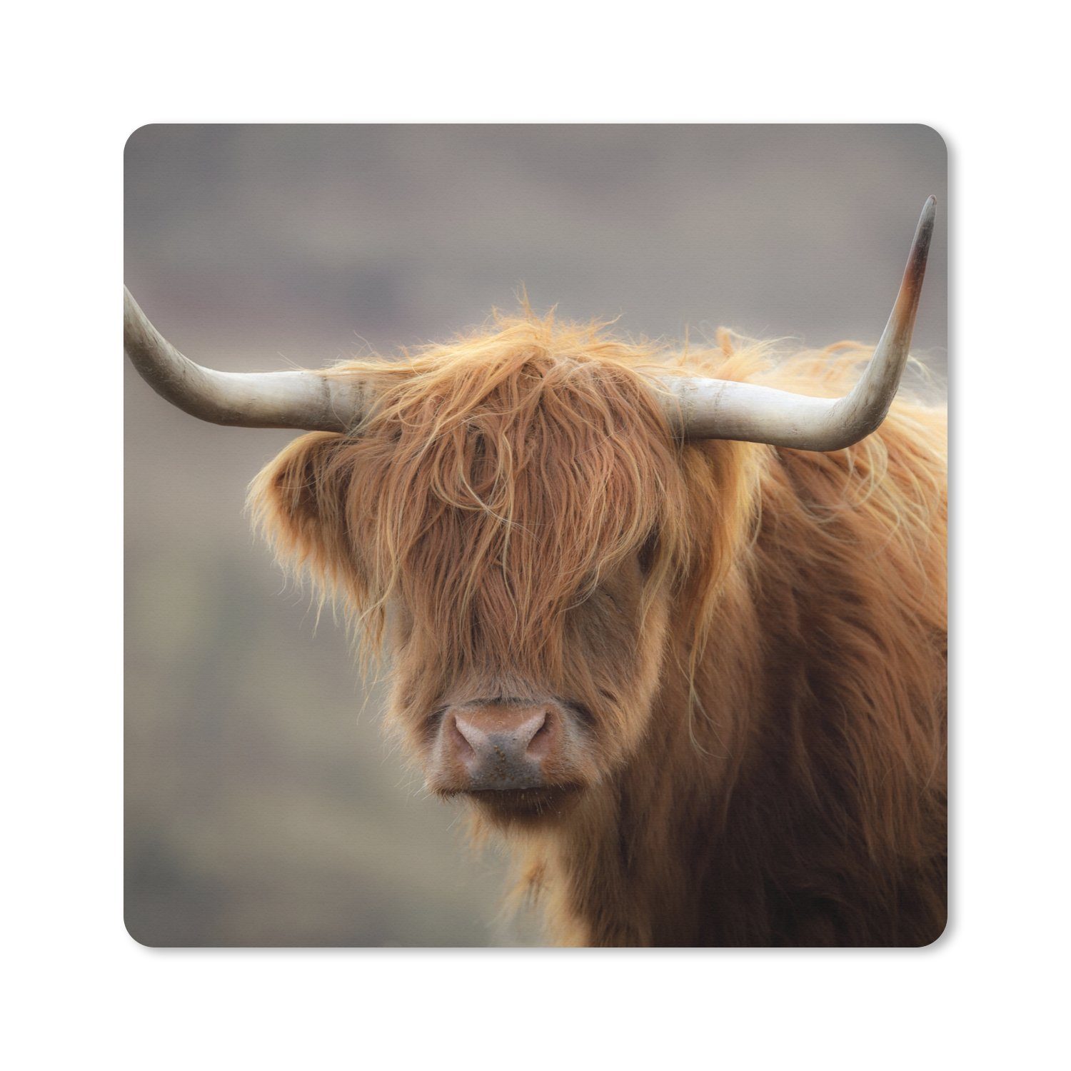 MuchoWow Mauspad (1-St), Mouse pad groß, Schreibtisch Zubehör, 50x50 cm