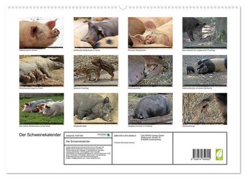 CALVENDO Wandkalender Der Schweinekalender (Premium, hochwertiger DIN A2 Wandkalender 2023, Kunstdruck in Hochglanz)