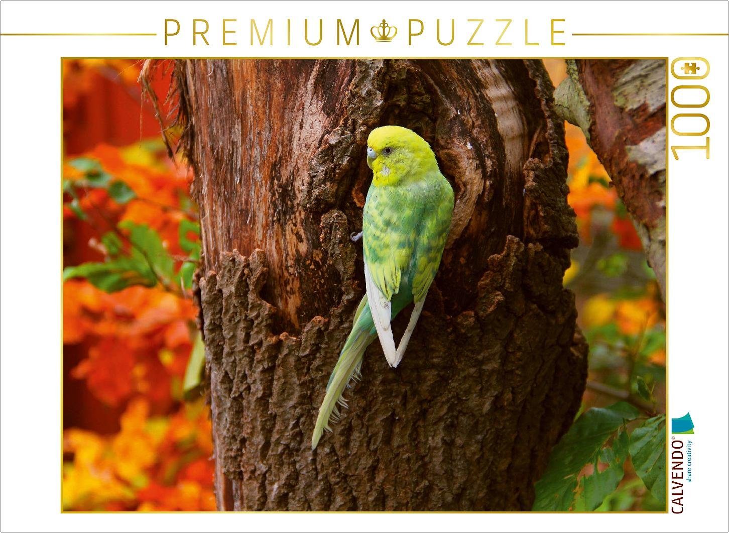 CALVENDO Puzzle CALVENDO Puzzle Wellensittich im Herbstwald 1000 Teile Lege-Größe 64 x 48 cm Foto-Puzzle Bild von Björn Bergmann, 1000 Puzzleteile