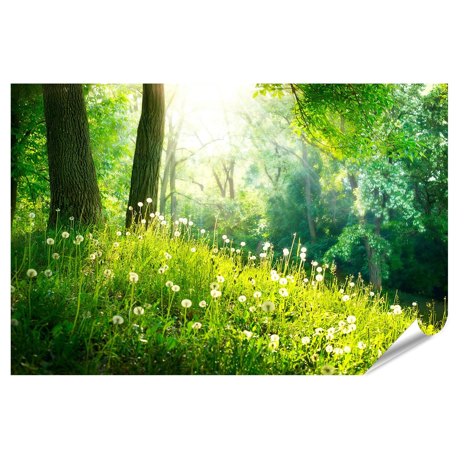 islandburner Poster Spring Nature Schöne Landschaft Grünes Gras Und Bäume Fotodruck