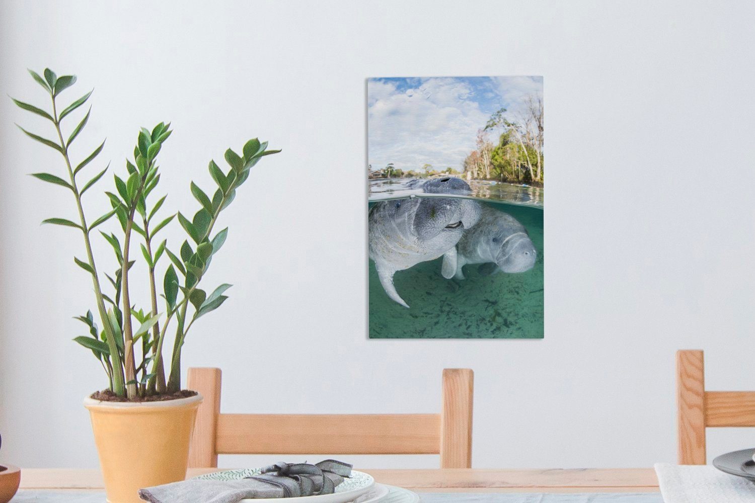 OneMillionCanvasses® Leinwandbild große fertig im bespannt Zwei Leinwandbild (1 Gemälde, schwimmen 20x30 St), Wasser, inkl. cm Zackenaufhänger, flachen Dugongs