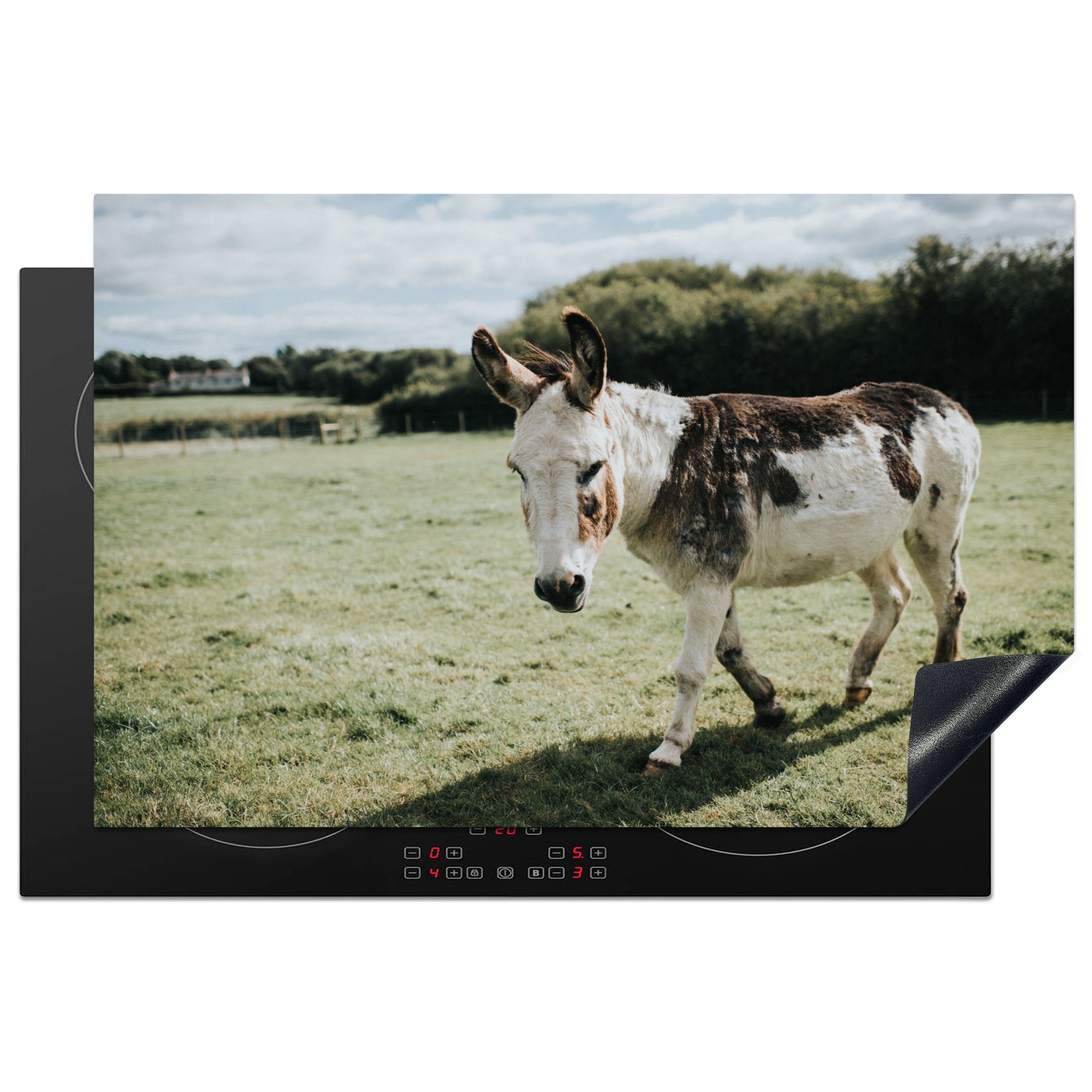 MuchoWow Herdblende-/Abdeckplatte Esel im Grasland, Vinyl, (1 tlg), 81x52 cm, Induktionskochfeld Schutz für die küche, Ceranfeldabdeckung