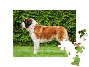 puzzleYOU Puzzle Bernhardinerhund auf dem Rasen stehend, 48 Puzzleteile, puzzleYOU-Kollektionen Hunde, Bernhardiner
