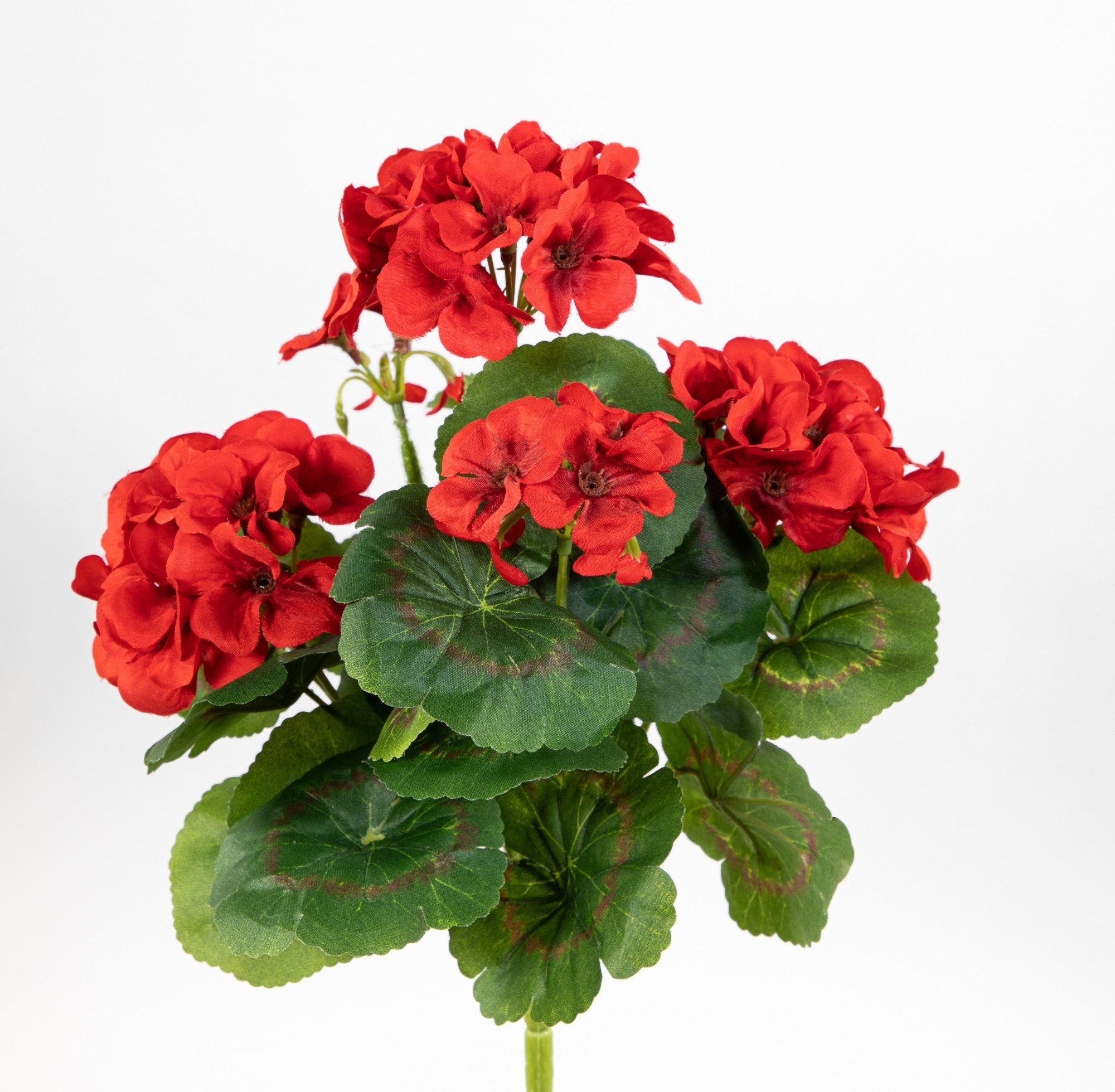 Kunstblume Geranie 32cm LM Kunstpflanzen künstliche Blumen Pflanzen Pelargonium, Seidenblumen Roß, Höhe 32 cm, Rot