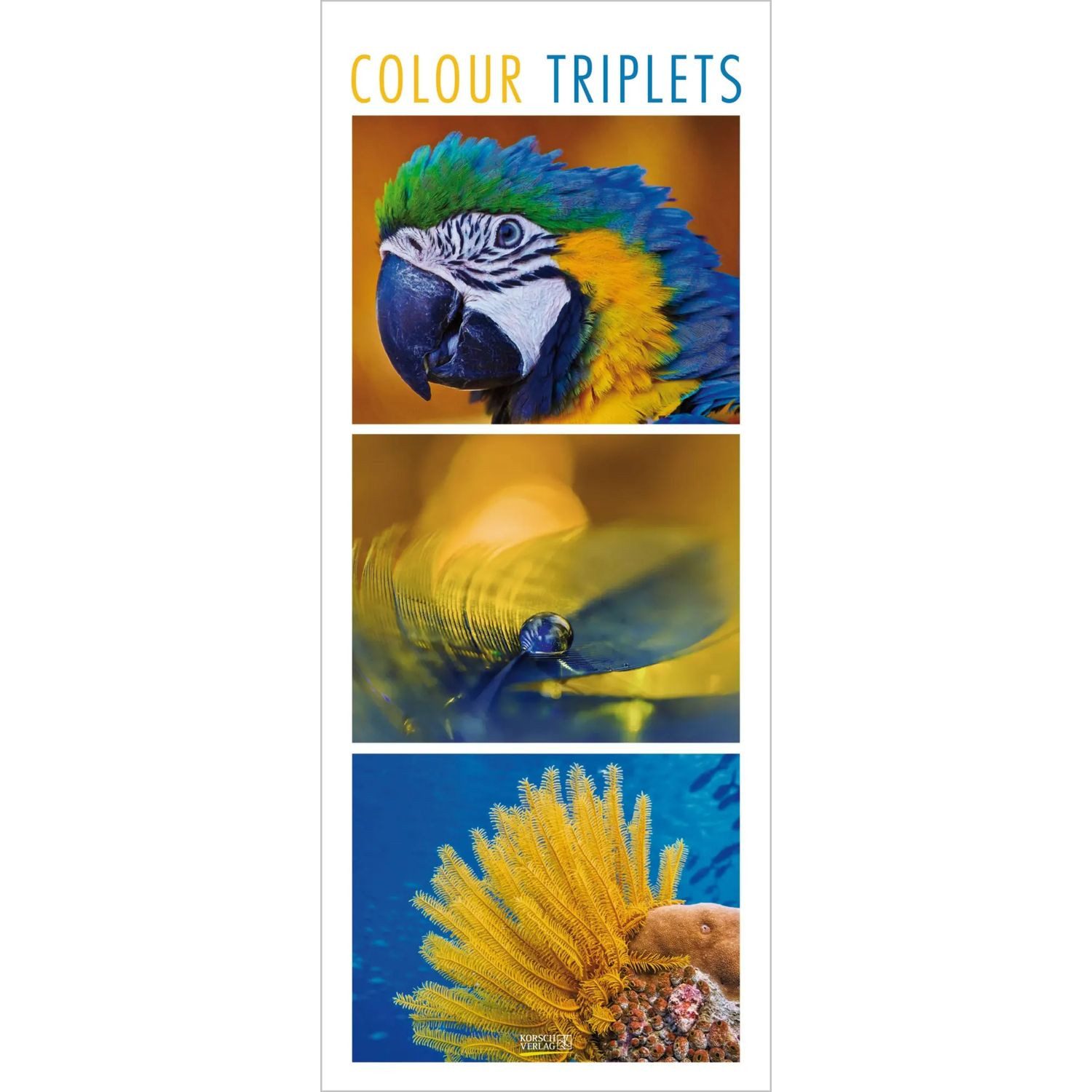 Korsch Verlag Wandkalender Colour Triplets 2027