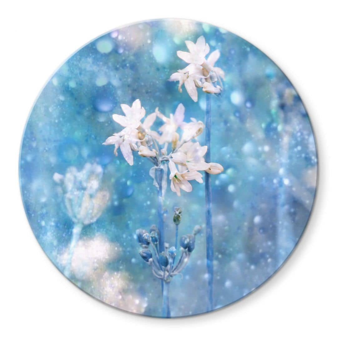 Devos Fotografie Rund Wandbild Blumen Art Wandschutz Gemälde Magie Natur, Glasbild Bilder Deko K&L Glas Wall