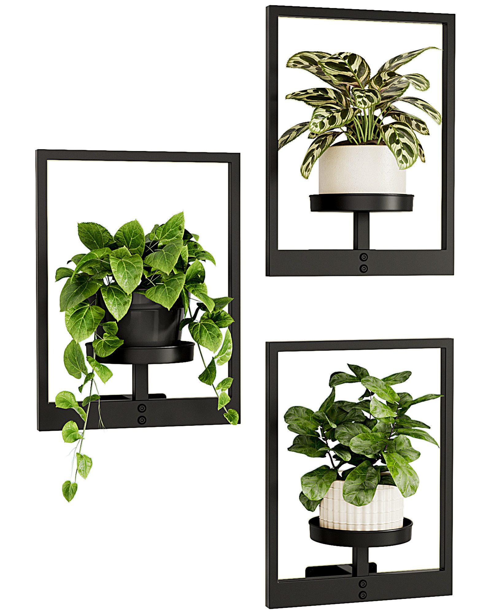 Bamworld Blumenampel Hängegefäße für Zimmerpflanzen, Wanddeko, 3er-Set für Außenbereich (3 St), Wand Pflanzensockel, Innen Wohnzimmer & Garten