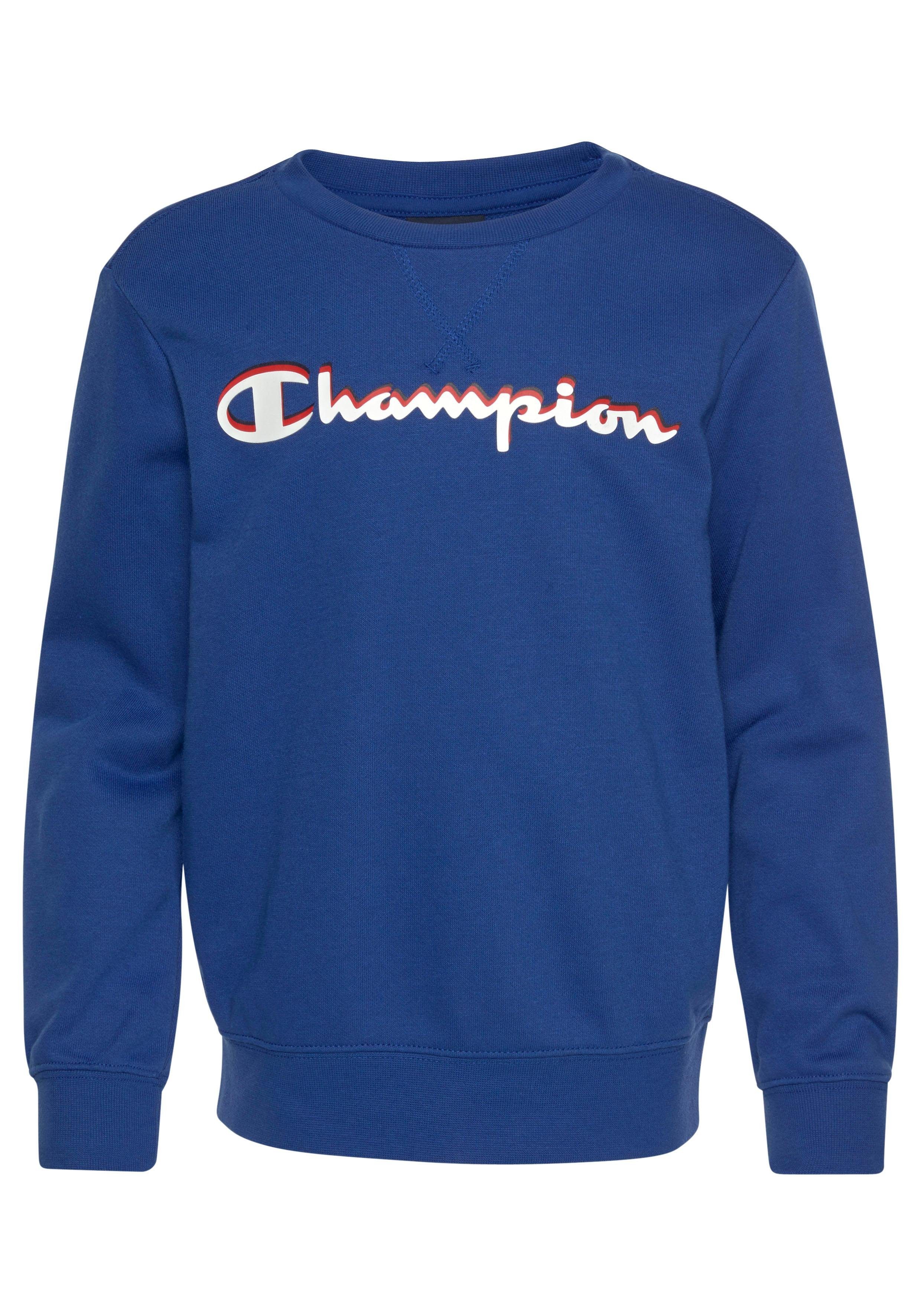 champion pullover crewneck