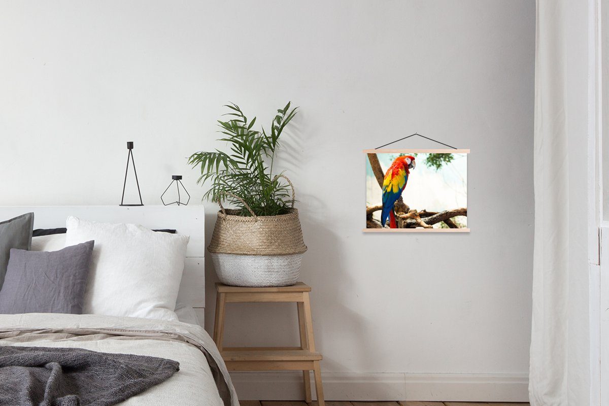 MuchoWow Poster Papagei Textilposter Bilderleiste, Vogel - (1 Regenbogen St), Magnetisch für Wohnzimmer, - Tropisch, Posterleiste, 