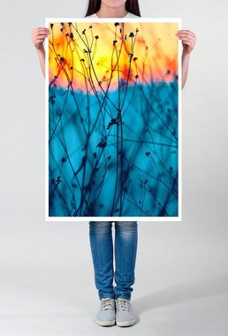 Sinus Art Poster Pflanzen bei Sonnenaufgang 60x90cm Poster