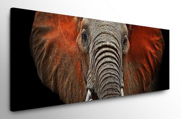 möbel-direkt.de Leinwandbild Bilder XXL Großer Elefant Wandbild auf Leinwand