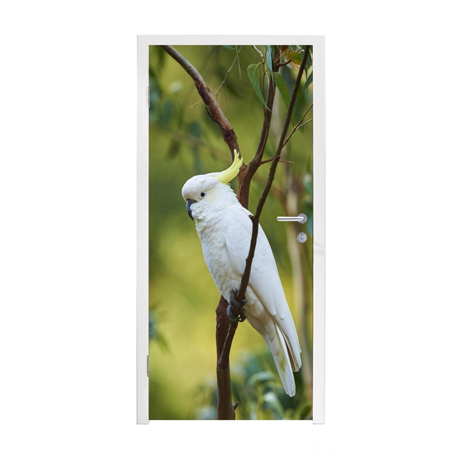 MuchoWow Türtapete Weißer Kakadu zwischen grünen Blättern, Matt, bedruckt, (1 St), Fototapete für Tür, Türaufkleber, 75x205 cm