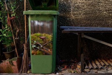 MuchoWow Wandsticker Nasspilz im Wald (1 St), Mülleimer-aufkleber, Mülltonne, Sticker, Container, Abfalbehälter