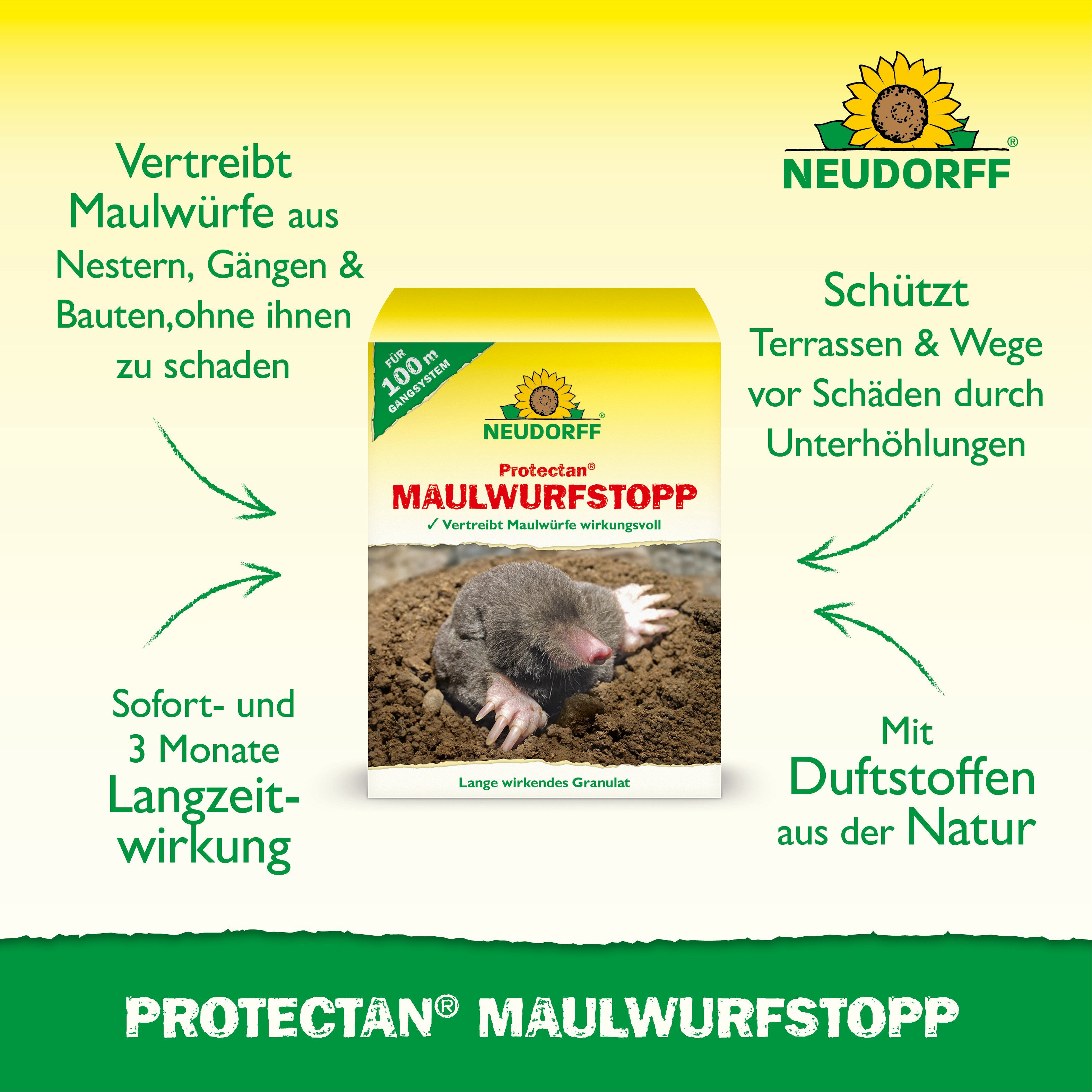 Neudorff Vergrämungsmittel Protectan MaulwurfStopp 200 g, Geruchsbasiertes Fernhaltegranulat für Maulwürfe, 200 g für bis zu 100 m Gangsystem, Geruchsbasierte A – Bild 2 von 5
