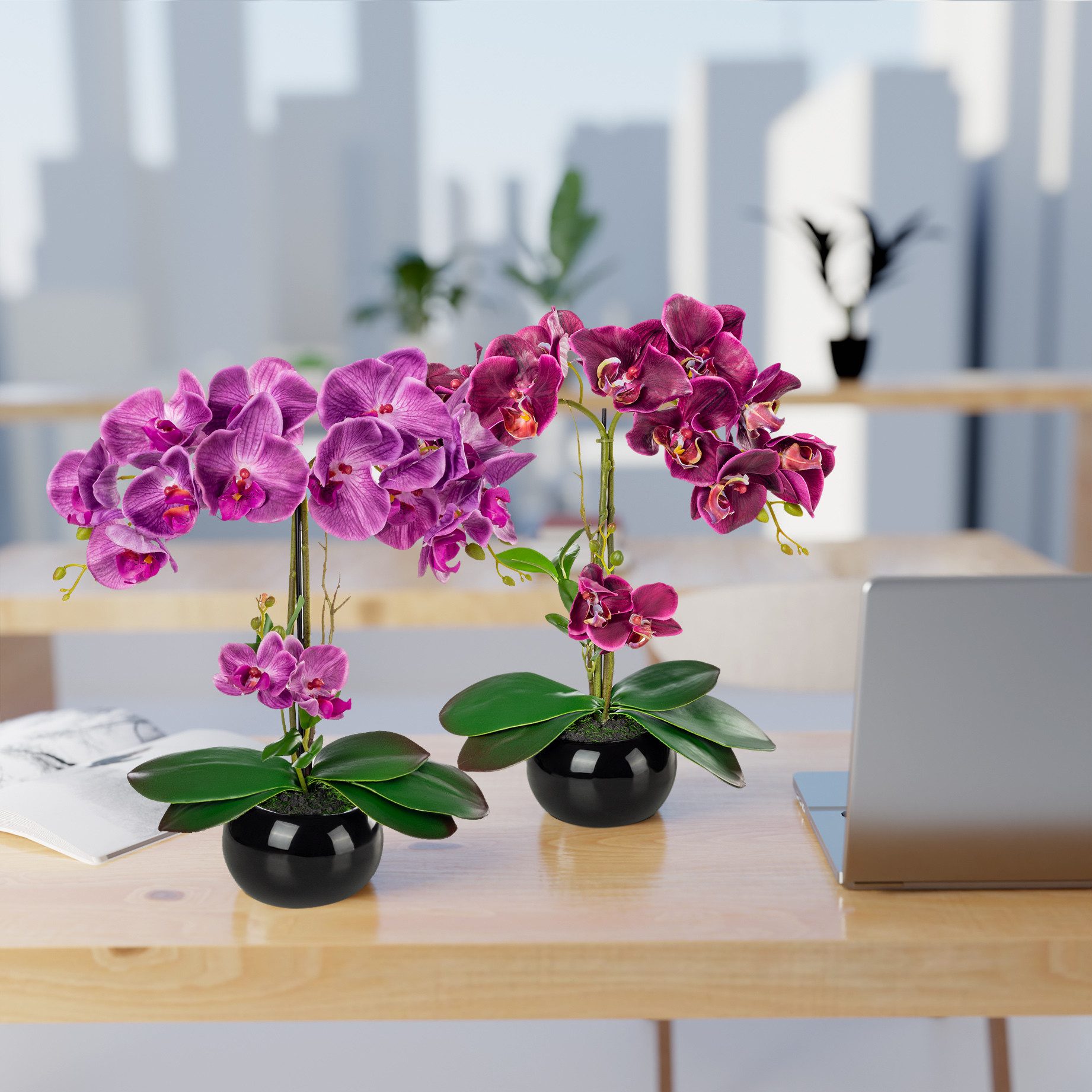 Kunstorchidee PASCH® Orchidee künstlich wie echt günstig online kaufen
