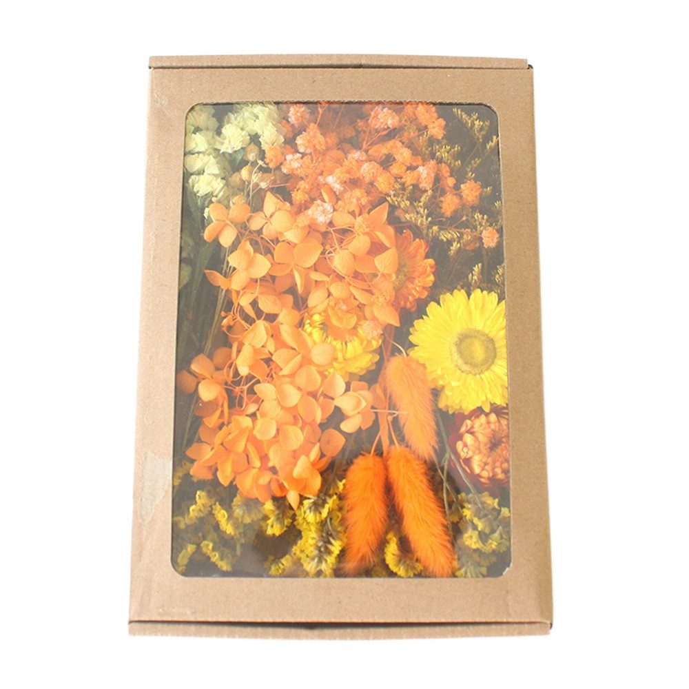 Trockenblume Klein Trockenblumen Deko Trockenblumen mit Papierbox Getrocknete Blumen, Trockenblumen zum Basteln, Agger, für Heimwerken Harz Scrapbooking Karten Heimdekoration