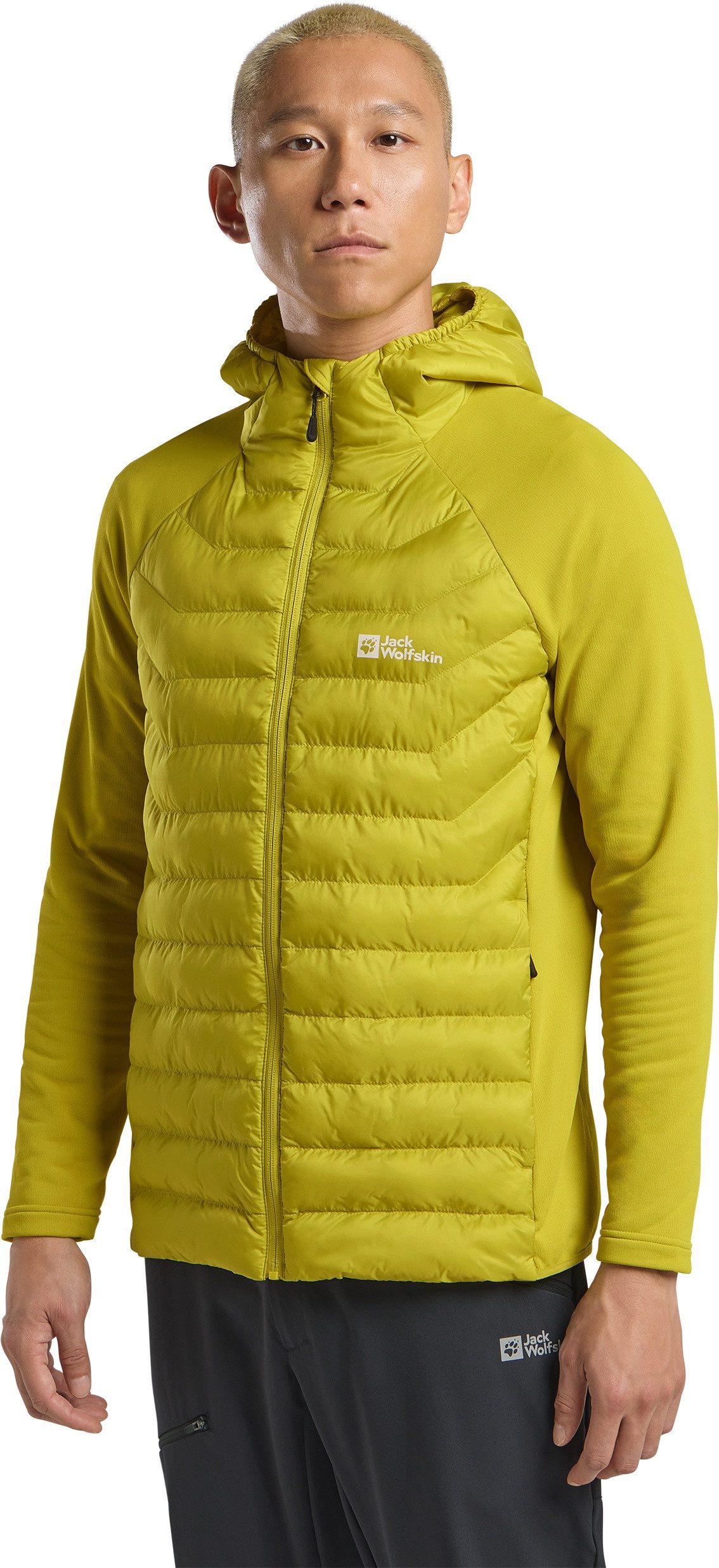 Jack Wolfskin Hybridjacke ROUTEBURN PRO HYBRID günstig online kaufen