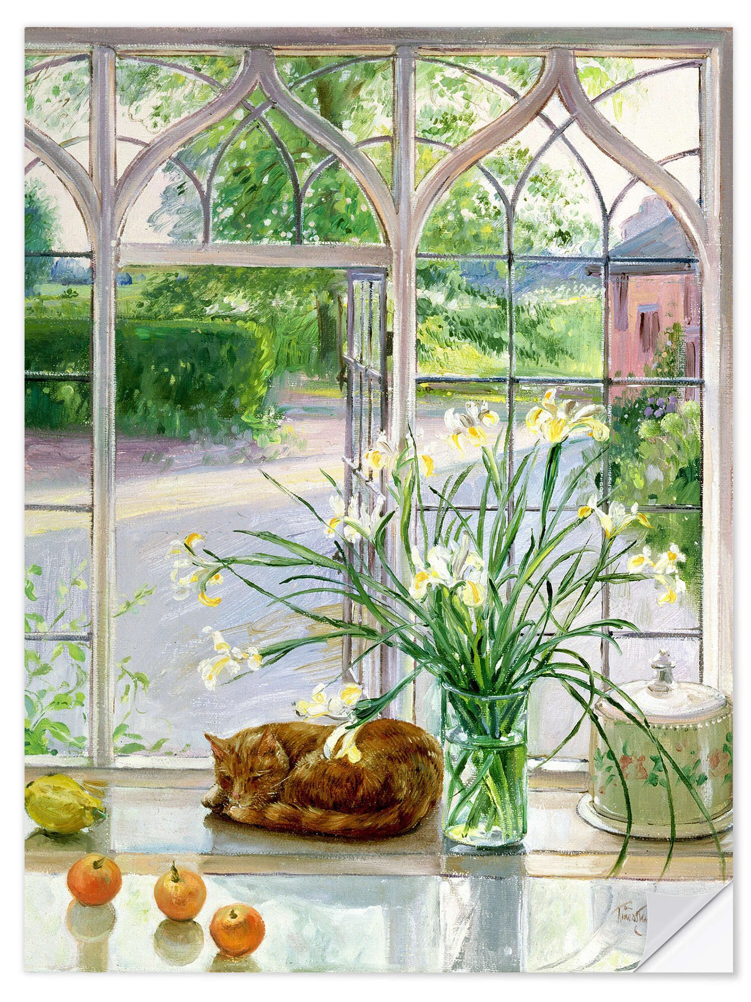 Posterlounge Wandbild Schlafende Katze im Fenster, Timothy Easton, erhältlich als Poster, Leinwandbild, Wandsticker oder Acrylglasbild