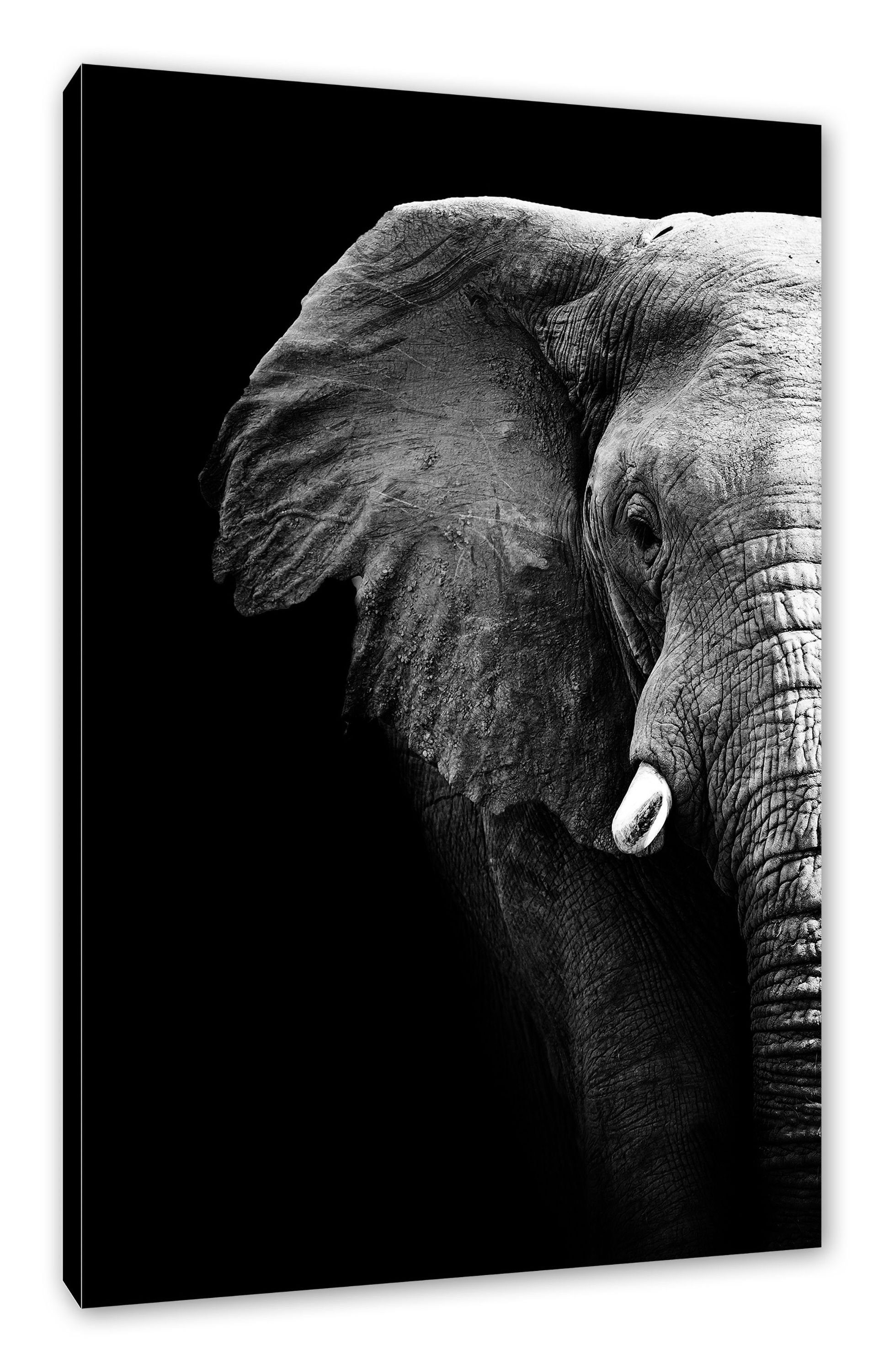 inkl. Elefant Pixxprint (1 Elefant fertig Porträt bespannt, Leinwandbild Zackenaufhänger St), Leinwandbild Porträt,