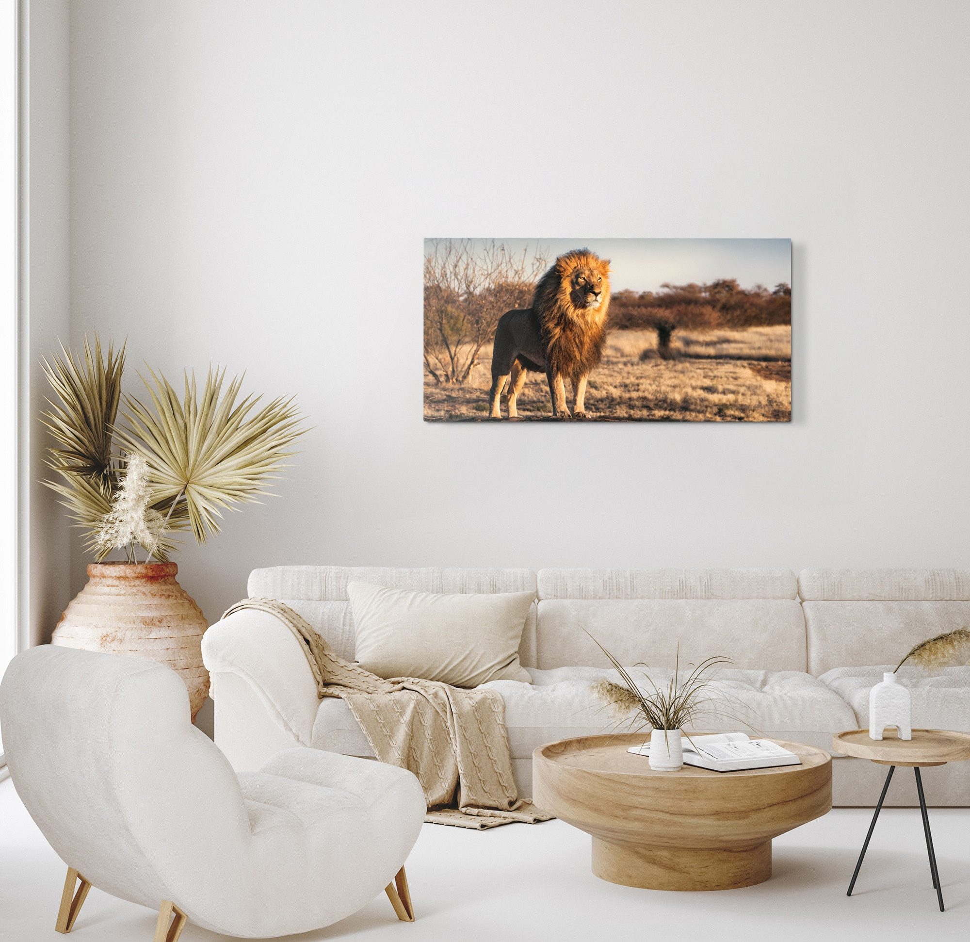 Sinus Art Leinwandbild Kunstdruck Bilder 120x60cm Afrika Löwe Wildnis Tierfotografie Raubkatz, (1 St)