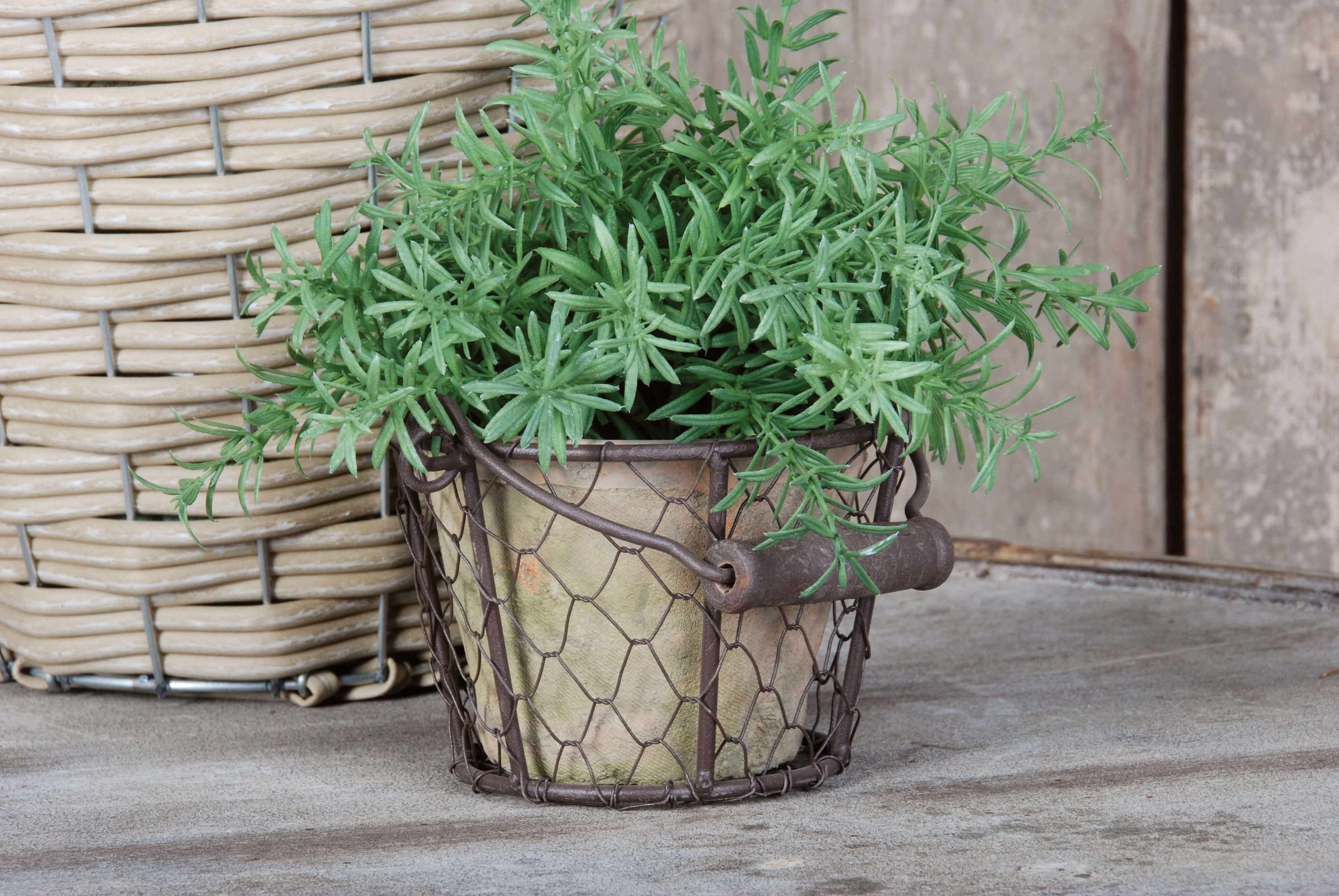 esschert design Übertopf Blumen Topf im Draht Korb Henkel Aged Terracotta rund Set Pflanzen – Bild 3 von 3