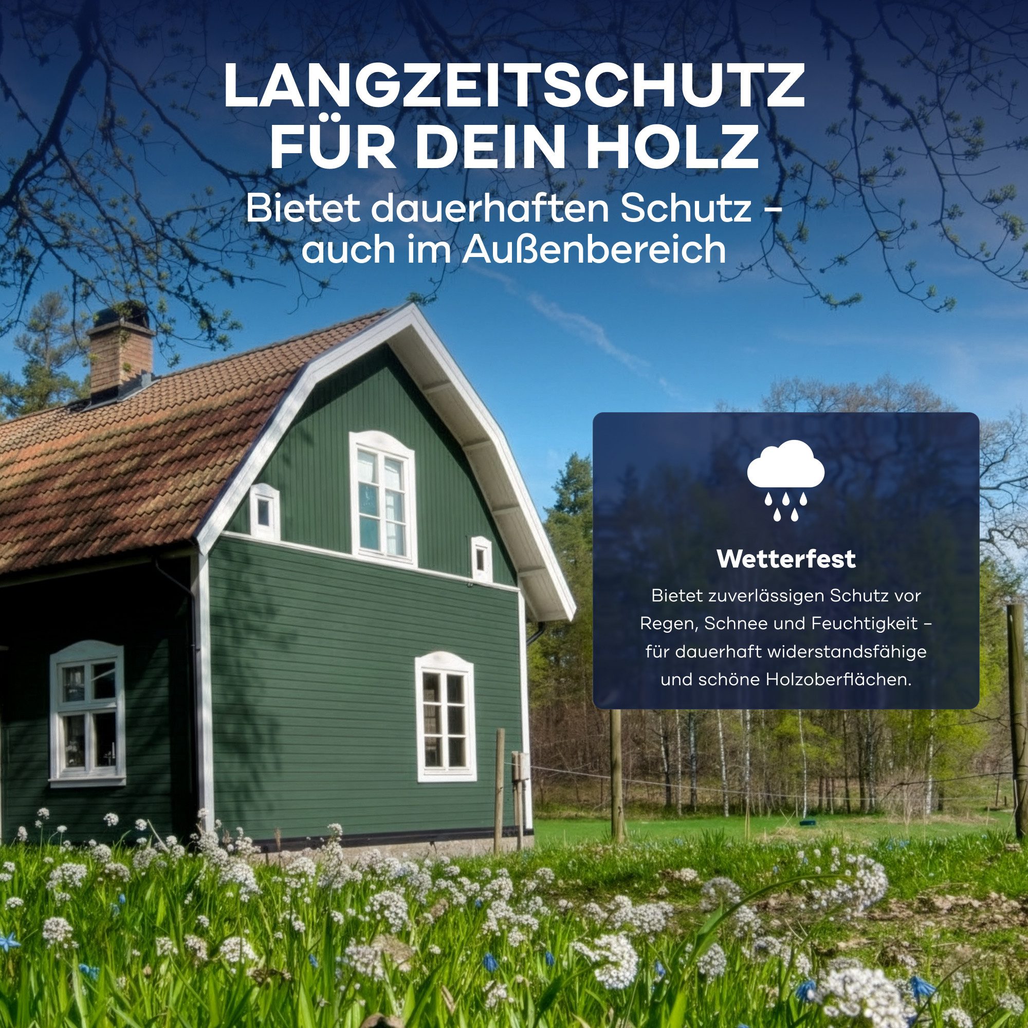 plid Holzlack Premium Holzfarbe Holzlack Farbe für Holz Pinsel, Schnelltrocknend, verarbeitungsfertig
