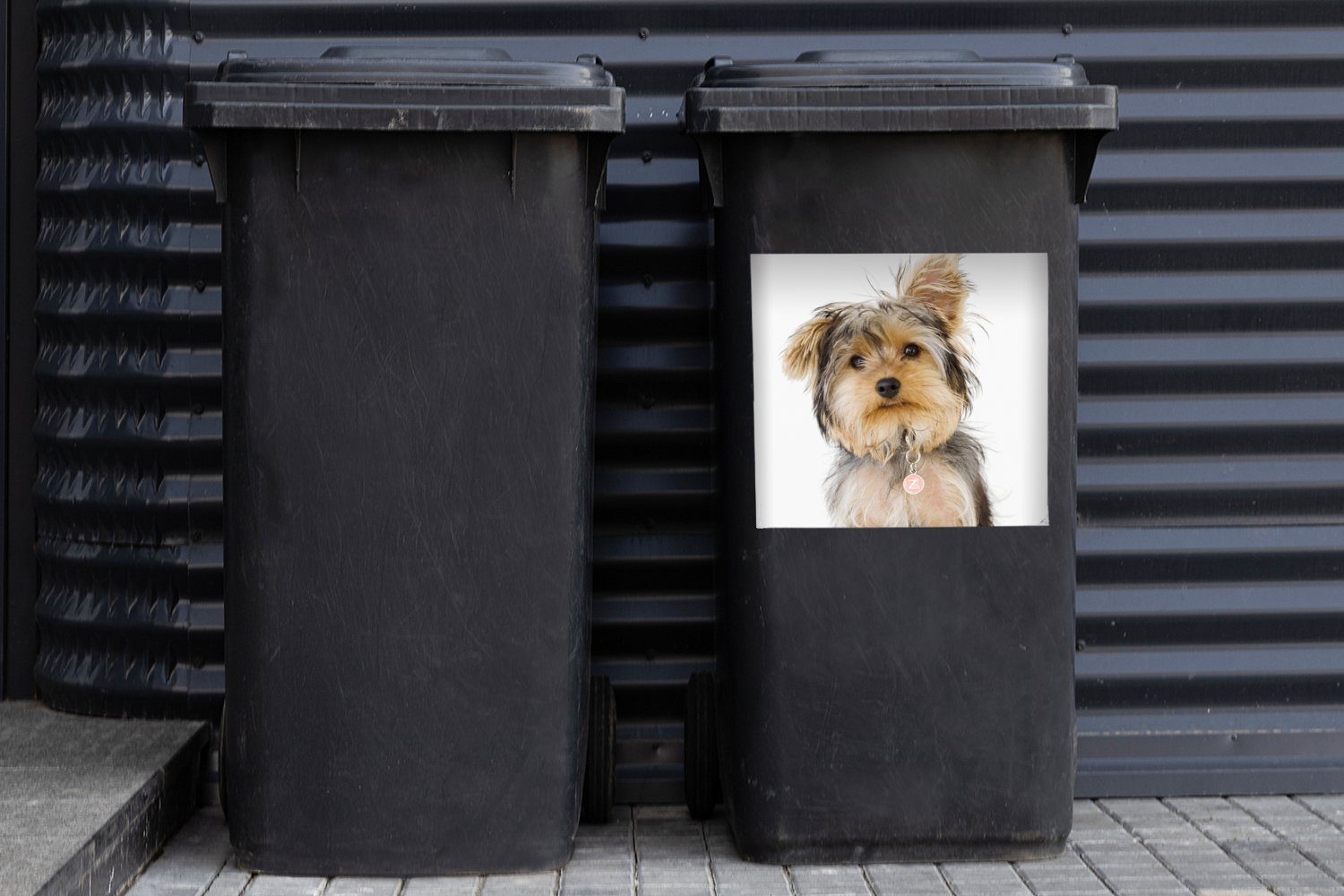Mülltonne, eines Wandsticker Sticker, Yorkshire-Terriers Mülleimer-aufkleber, (1 Container, MuchoWow Porträt Abfalbehälter St),
