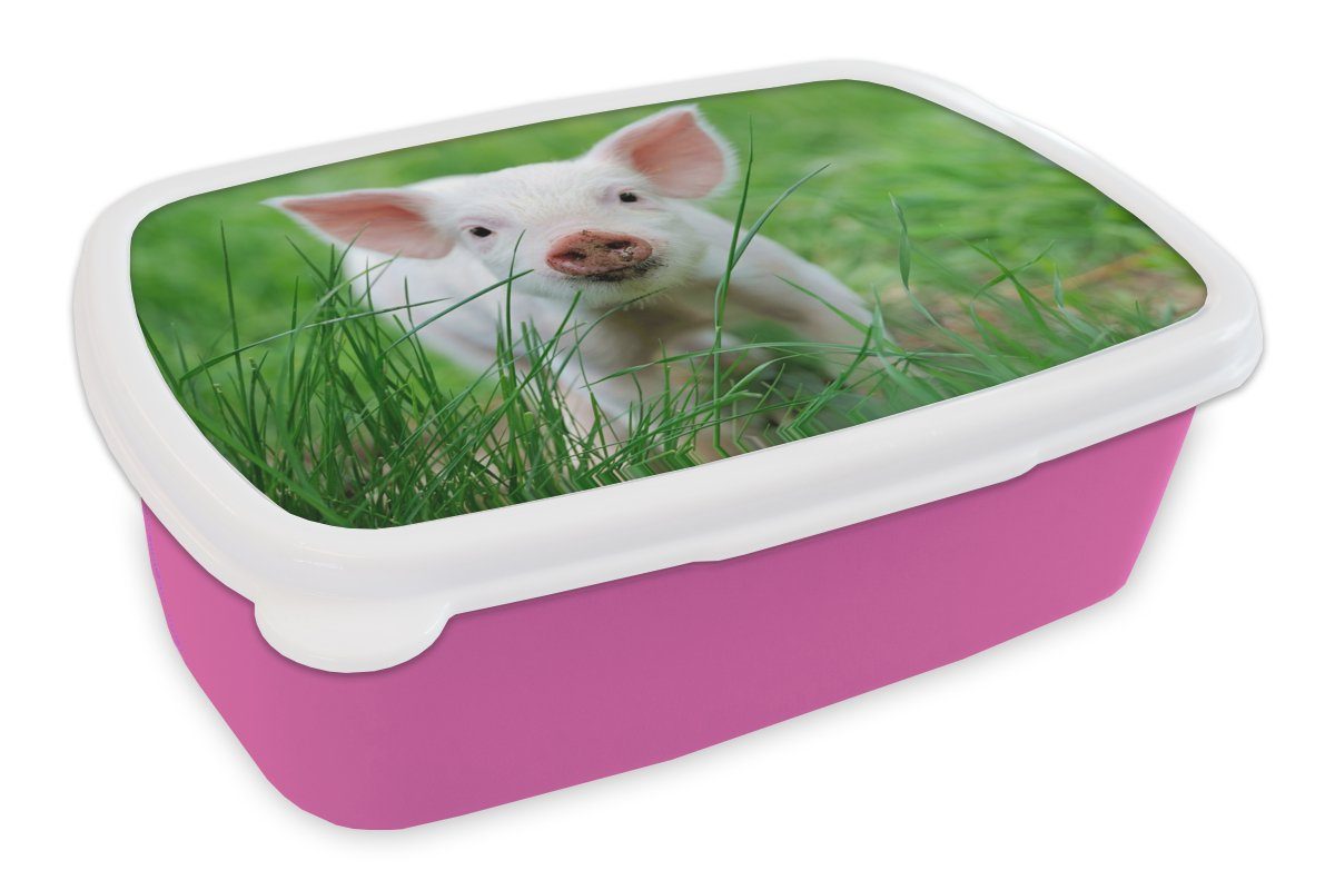 Kunststoff Snackbox, Groß, Lunchbox Brotdose Kunststoff, (2-tlg), MuchoWow - Schwein Mädchen, rosa Tiere Brotbox - für Kinder, Erwachsene,