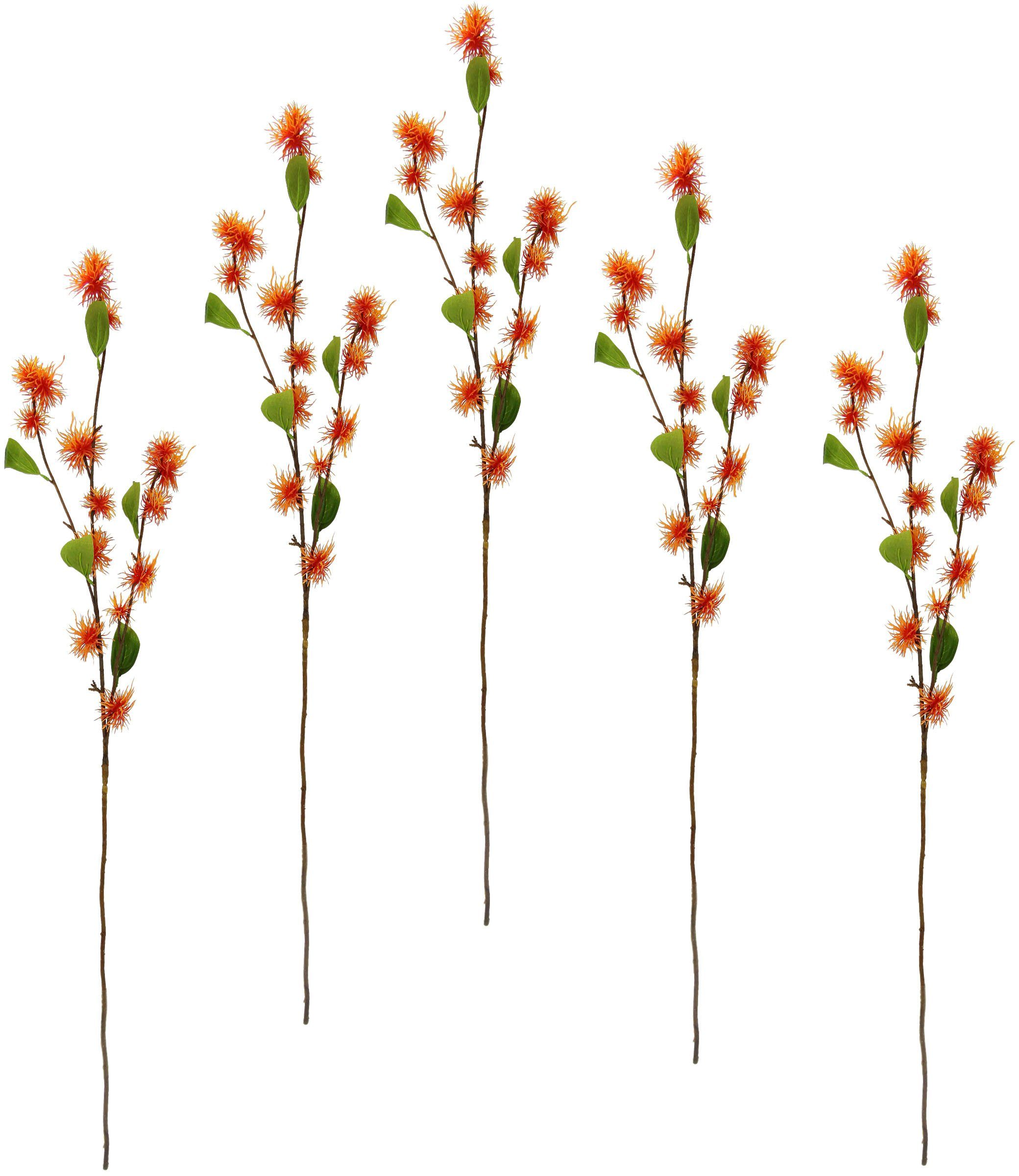 Kunstblume Zaubernuss, I.GE.A., Höhe 100 cm, 5er Set