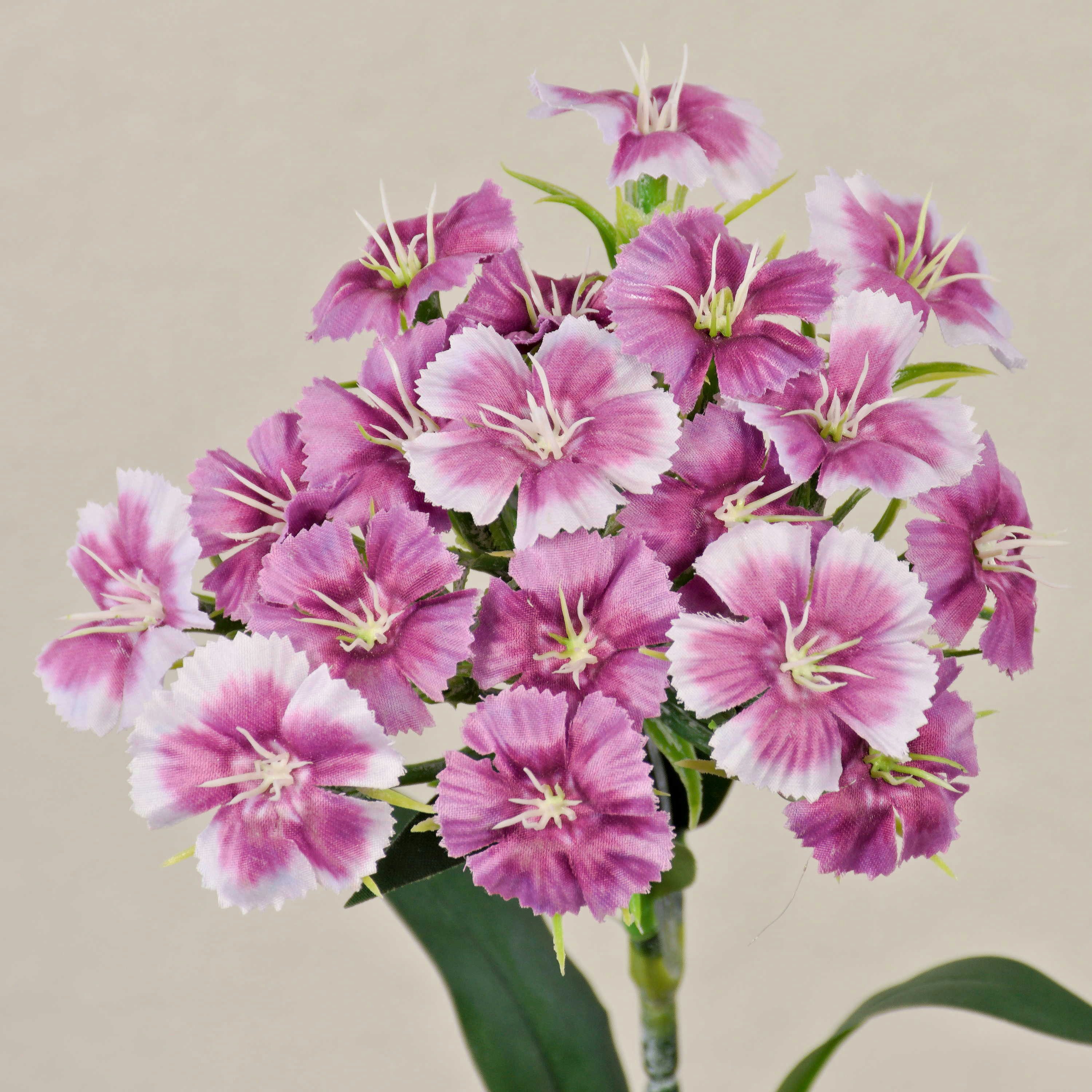Kunstblume Künstliche Blume Bartnelke SUSILAWA, violett-weiß, 55cm Nelke (Bartnelke), artplants, Höhe 55.0 cm