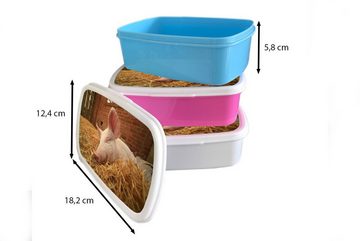 MuchoWow Lunchbox Schwein - Stroh - Tier, Kunststoff, (2-tlg), Brotbox für Erwachsene, Brotdose Kinder, Snackbox, Mädchen, Kunststoff