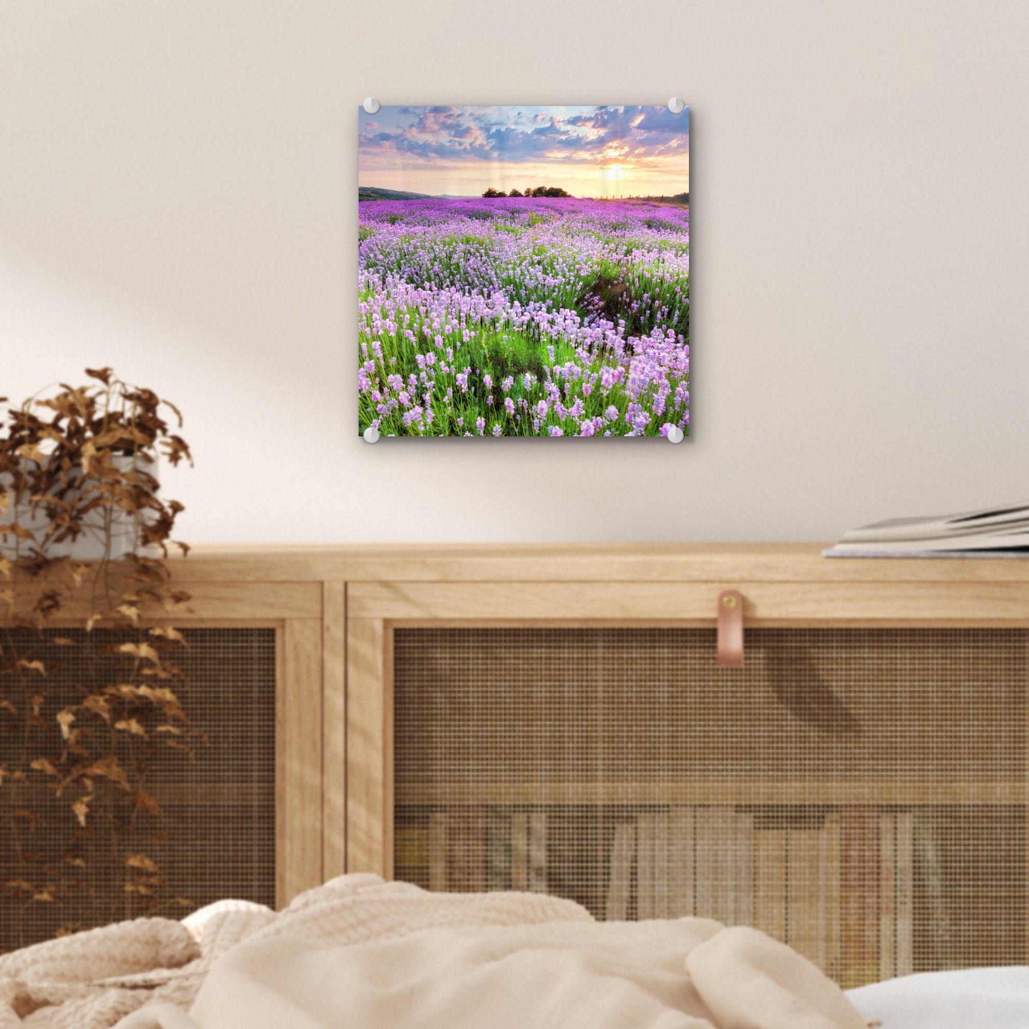 MuchoWow Acrylglasbild Blumen - bunt - - auf Bilder - - Wanddekoration Wandbild Natur, auf - Lila Glasbilder - St), (1 - Himmel Lavendel Glas - Wiese Glas Foto Sonnenuntergang