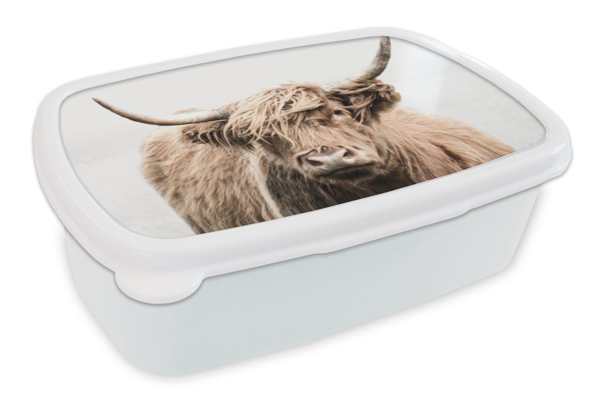 MuchoWow Lunchbox Schottischer Highlander Brotdose, - Mädchen Kinder und Brotbox (2-tlg), weiß Tiere für Jungs Fell, für Erwachsene, Kunststoff, und 