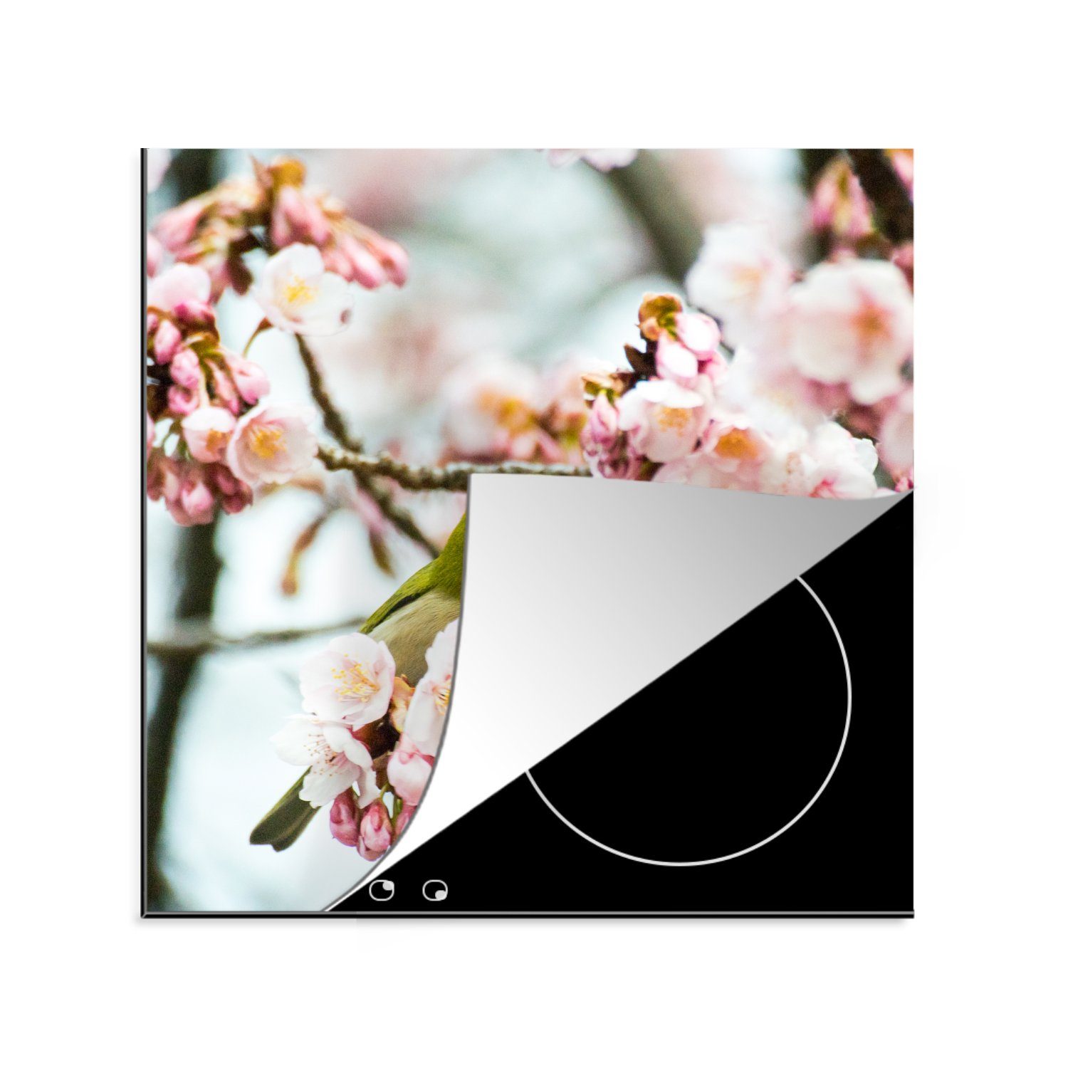 MuchoWow Herdblende-/Abdeckplatte Vogel - Kirschblüte - Rosa - Grün, Vinyl, (1 tlg), 78x78 cm, Ceranfeldabdeckung, Arbeitsplatte für küche