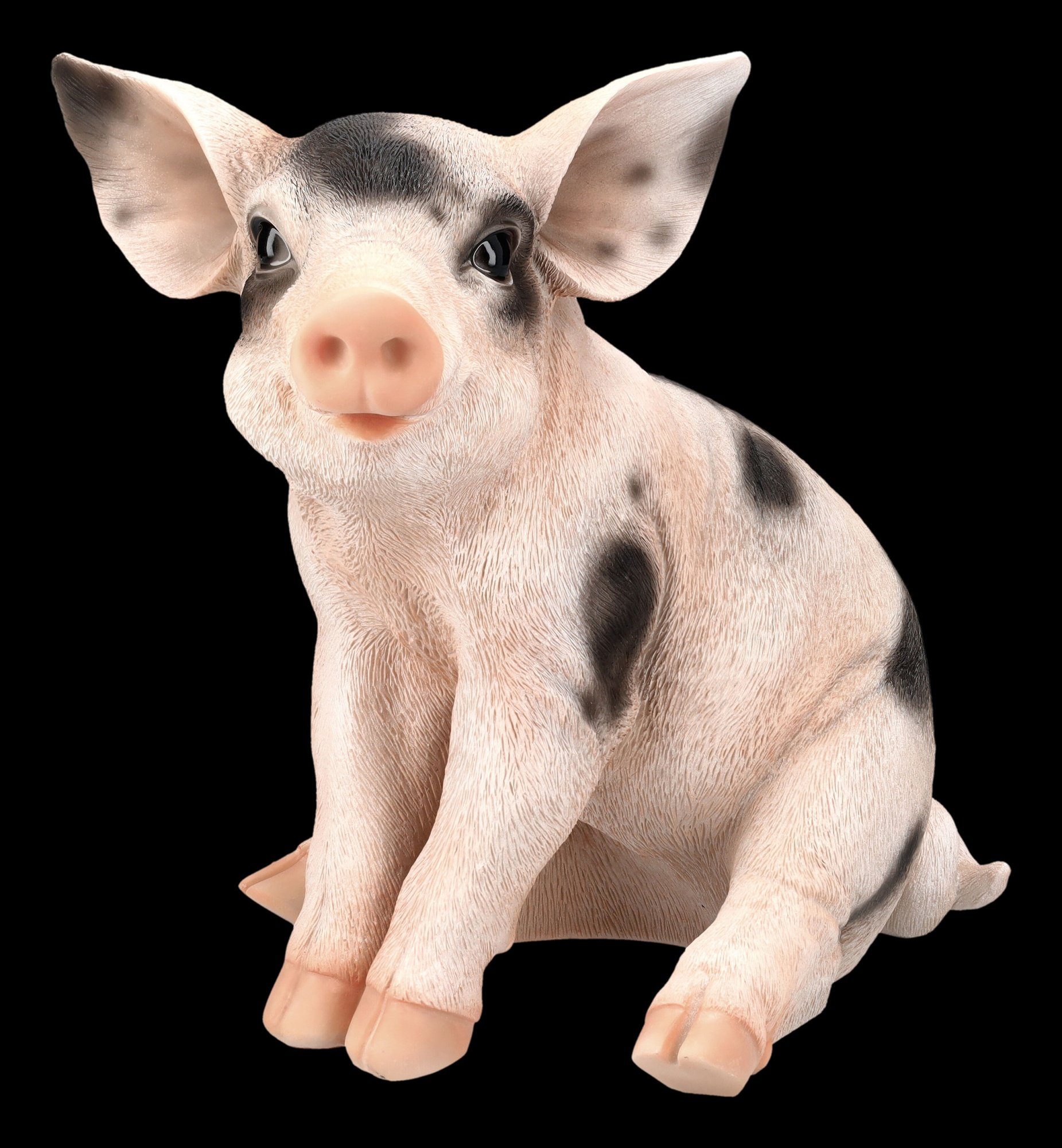 Tierdeko - Figur Shop - Schwein Dekofigur Figuren Schweine Ferkel Geflecktes GmbH Dekofigur