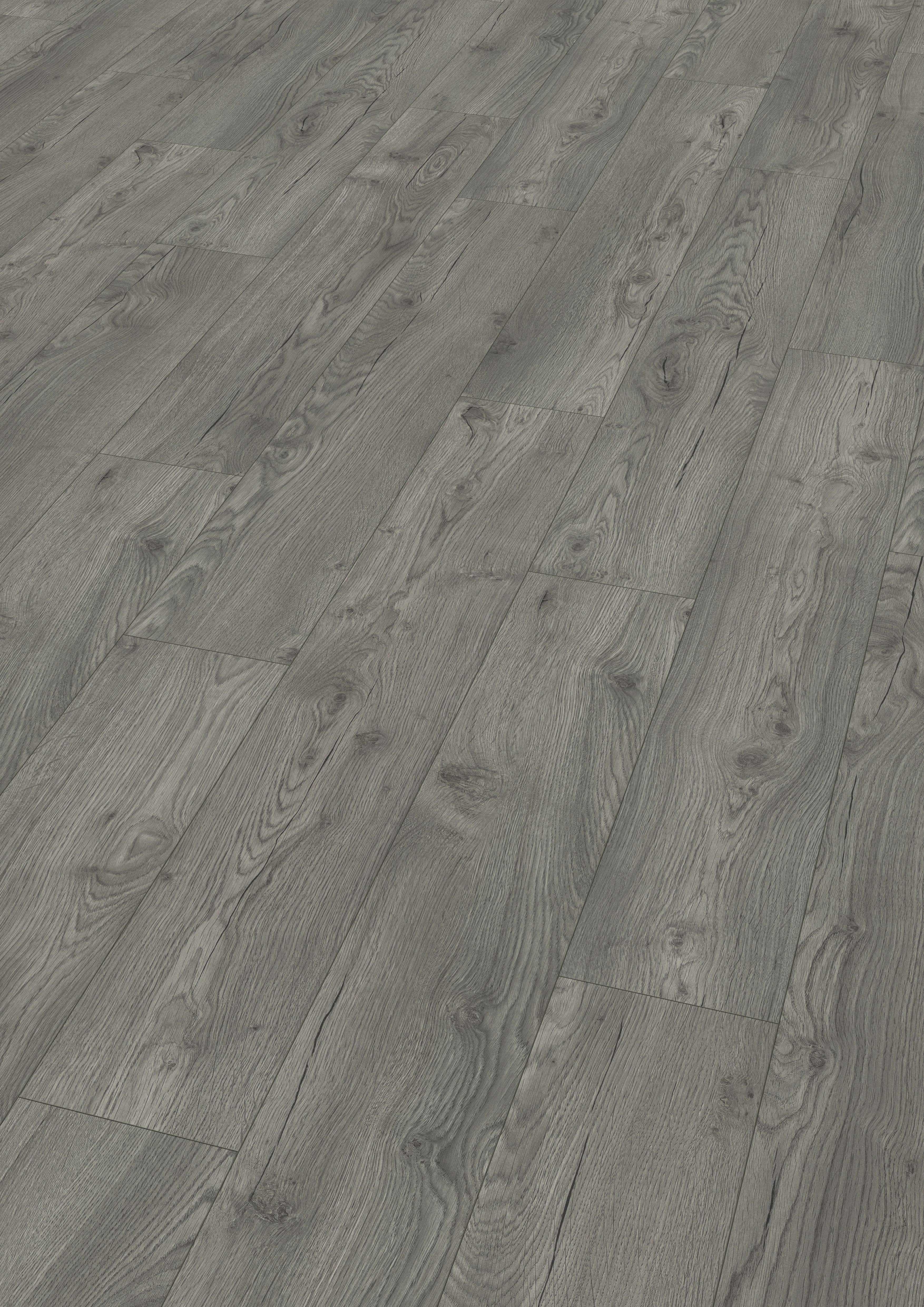 EGGER Laminat EHL161 Portland Eiche grau, (12mm, 1,496m),Praktisch & wertbeständig