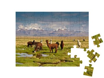 puzzleYOU Puzzle Lamas in den Anden, 48 Puzzleteile, puzzleYOU-Kollektionen Anden