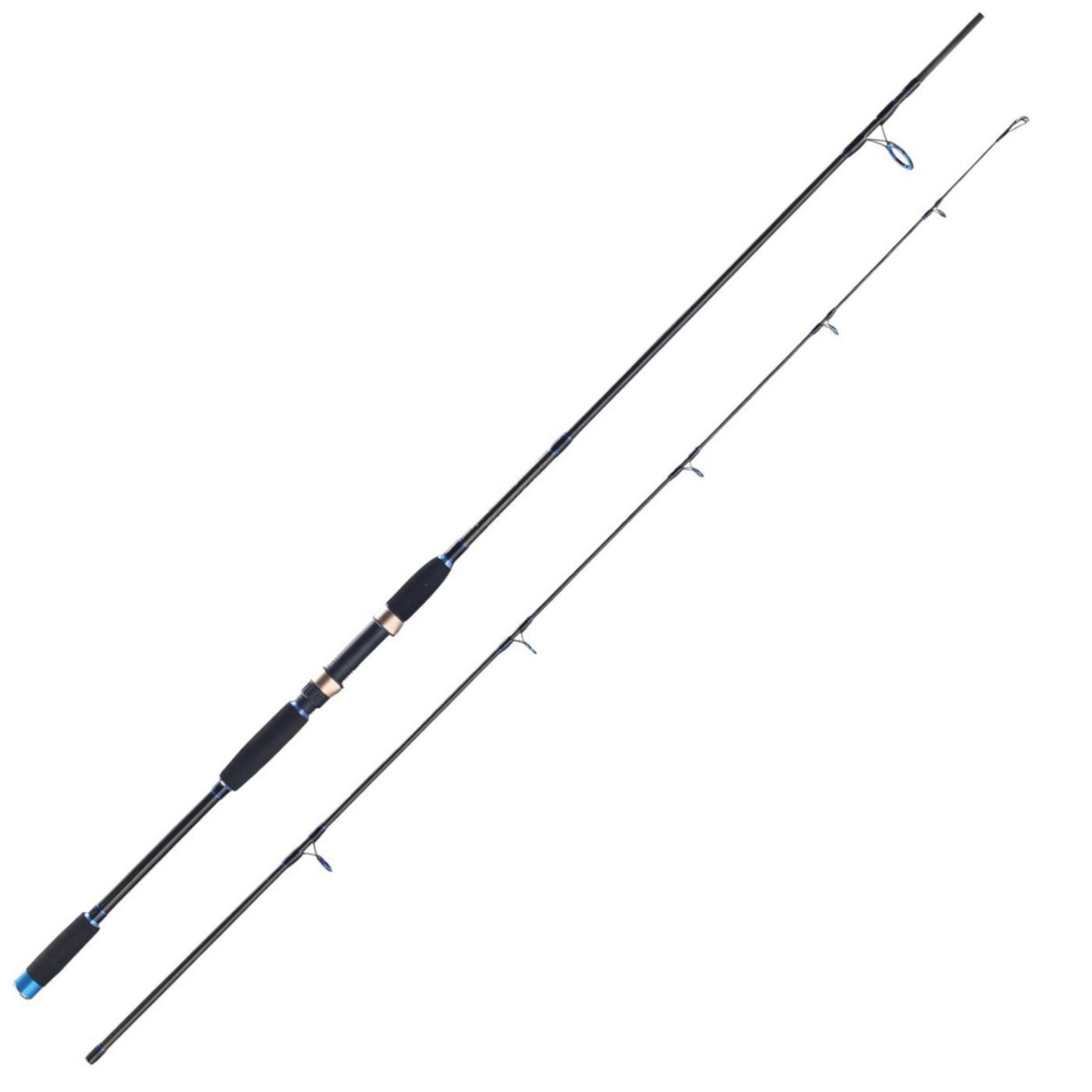 Spinnrute Eisele Flounder Spinning 240cm 30-90g - Spinnrute
