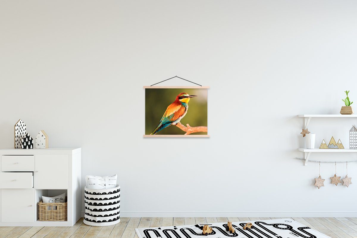 MuchoWow Poster Vögel - Bienenfresser - Regenbogen - Tiere, (1 St), Posterleiste, Textilposter für Wohnzimmer, Bilderleiste, Magnetisch