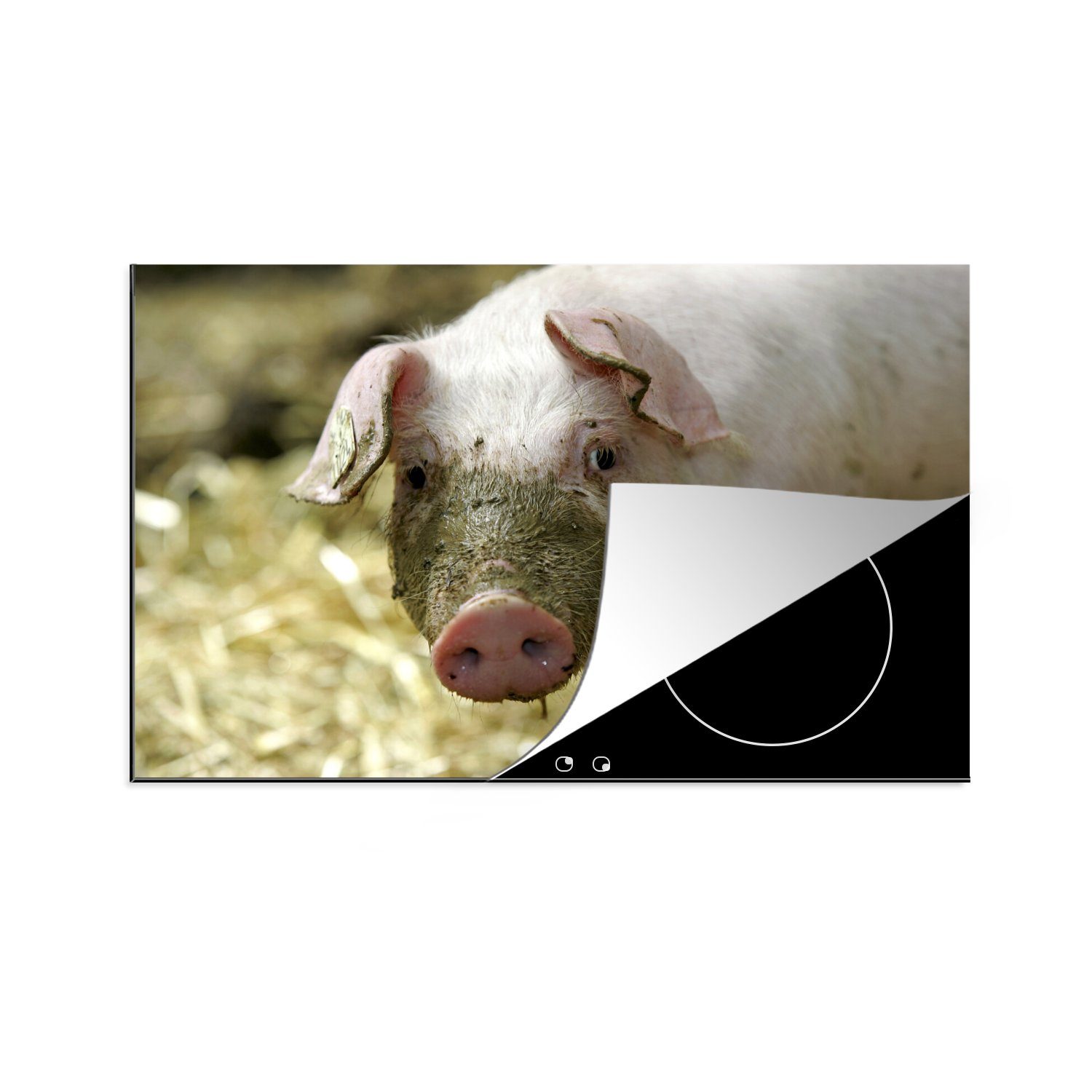 MuchoWow Herdblende-/Abdeckplatte Dreckiges Schwein, Vinyl, (1 tlg), 81x52 cm, Induktionskochfeld Schutz für die küche, Ceranfeldabdeckung